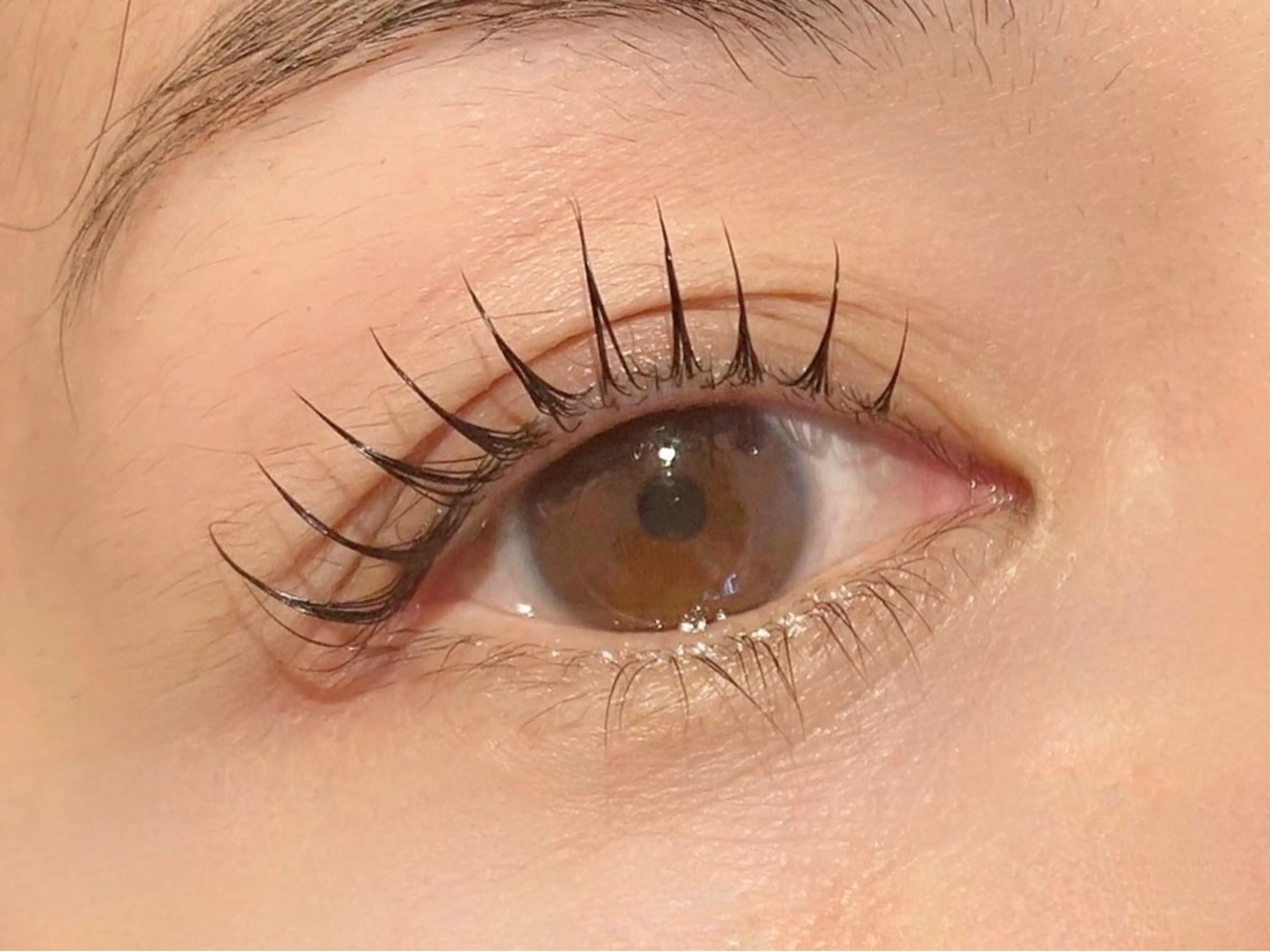 うるツヤ🫧まつ毛パーマ🫧アイシャンプー✴︎トリートメント✴︎補修美容液仕上げ🪞💐の写真