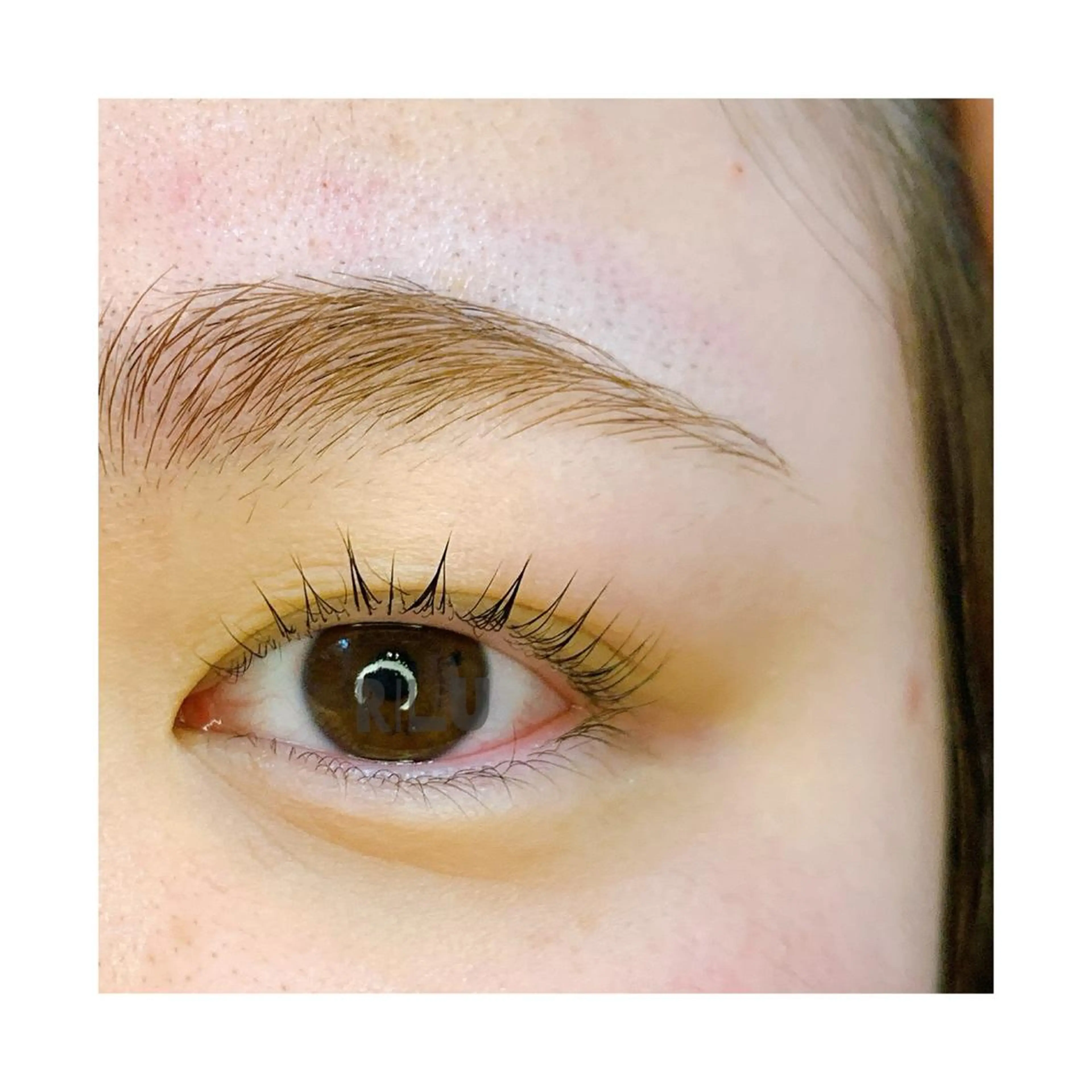 〔学割〕上下ラッシュリフト※要問合わせの写真