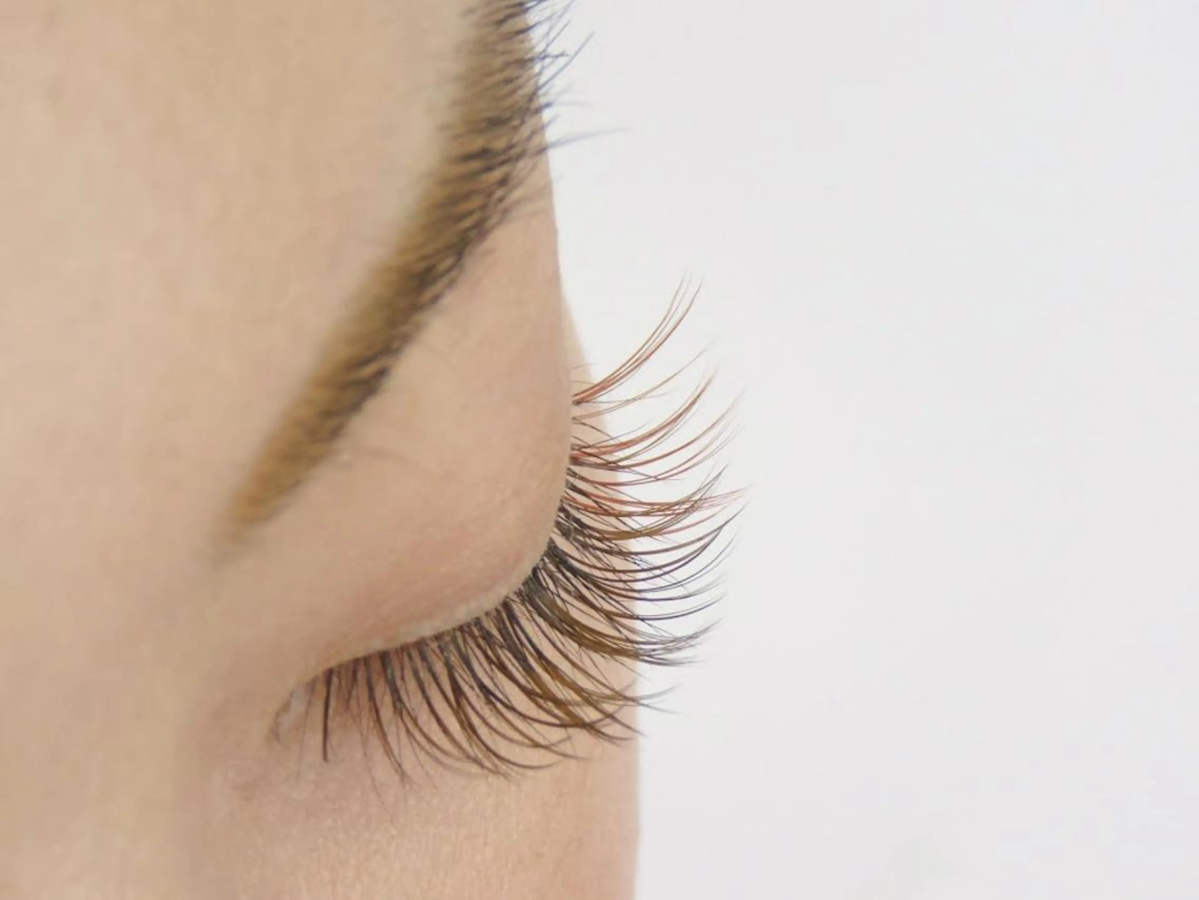 【初回限定】 ★希少4色ブラウンエクステ  ヨーロピアン極細0.06ミリ500本 ¥12000オフ込みの写真