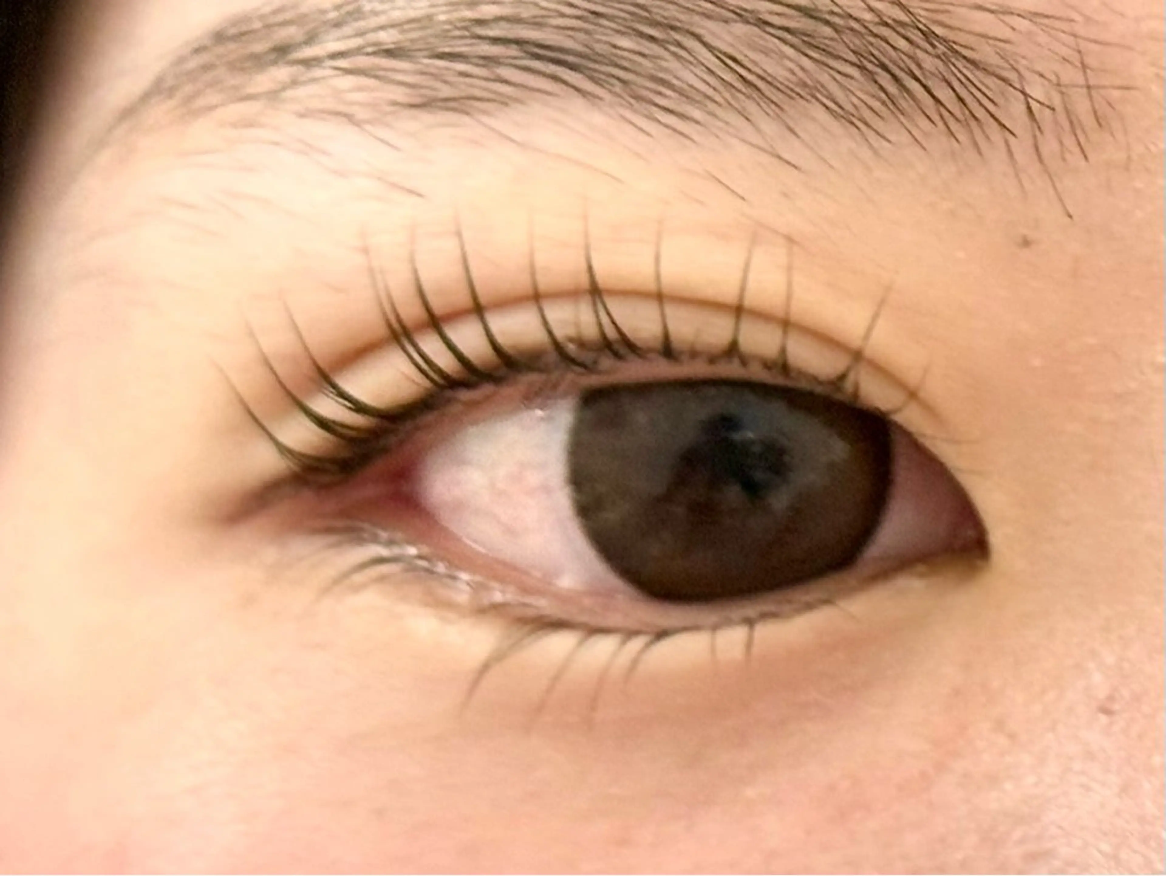 マツエク・マツパ マツパ franfika かりごめのマツエク・マツパデザイン