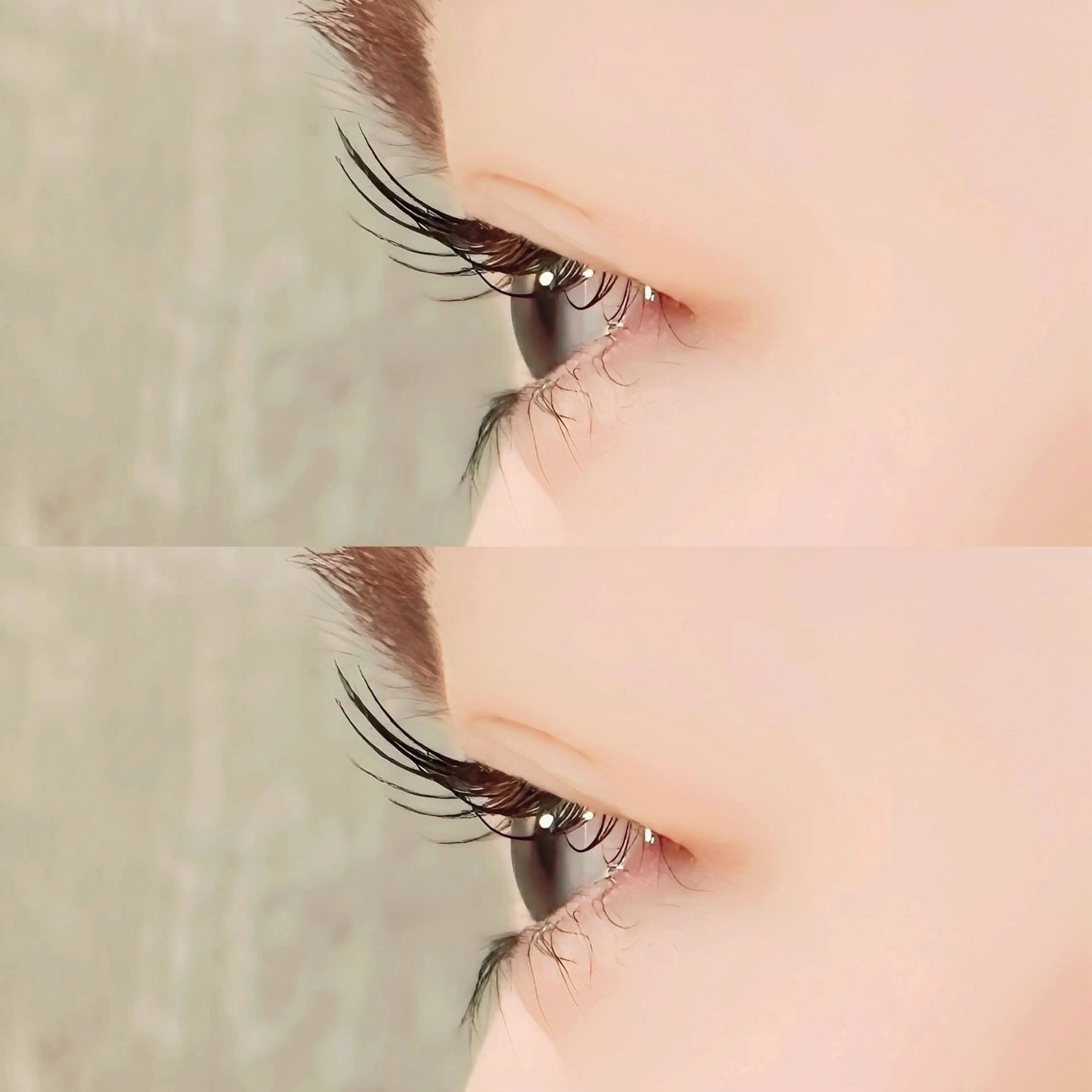 Lash lift🪺 まつげパーマ(上) 4回目からのご予約メニューの写真