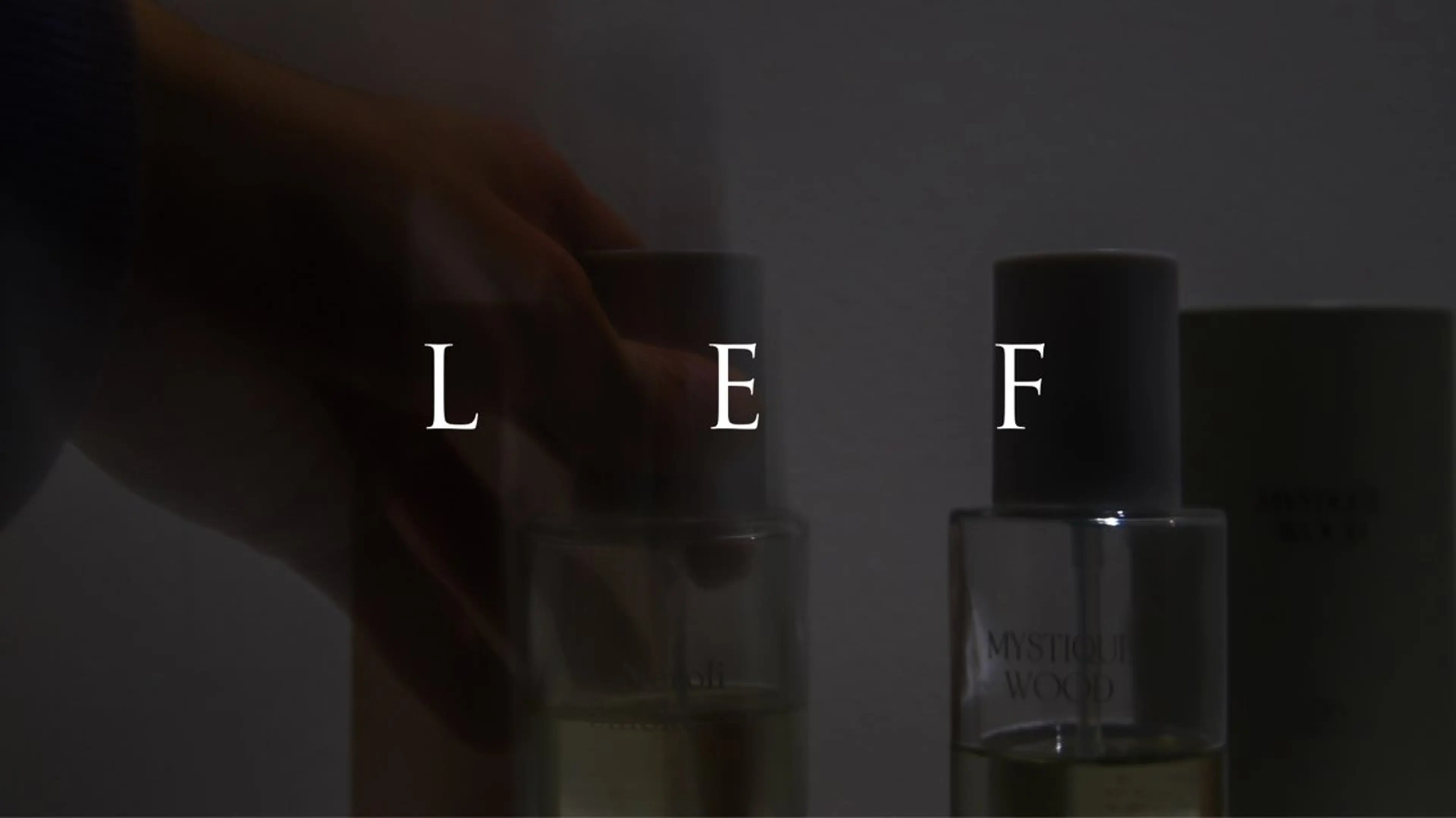 カラー LEF TATEMACHI所属・八村 一花のヘアスタイル