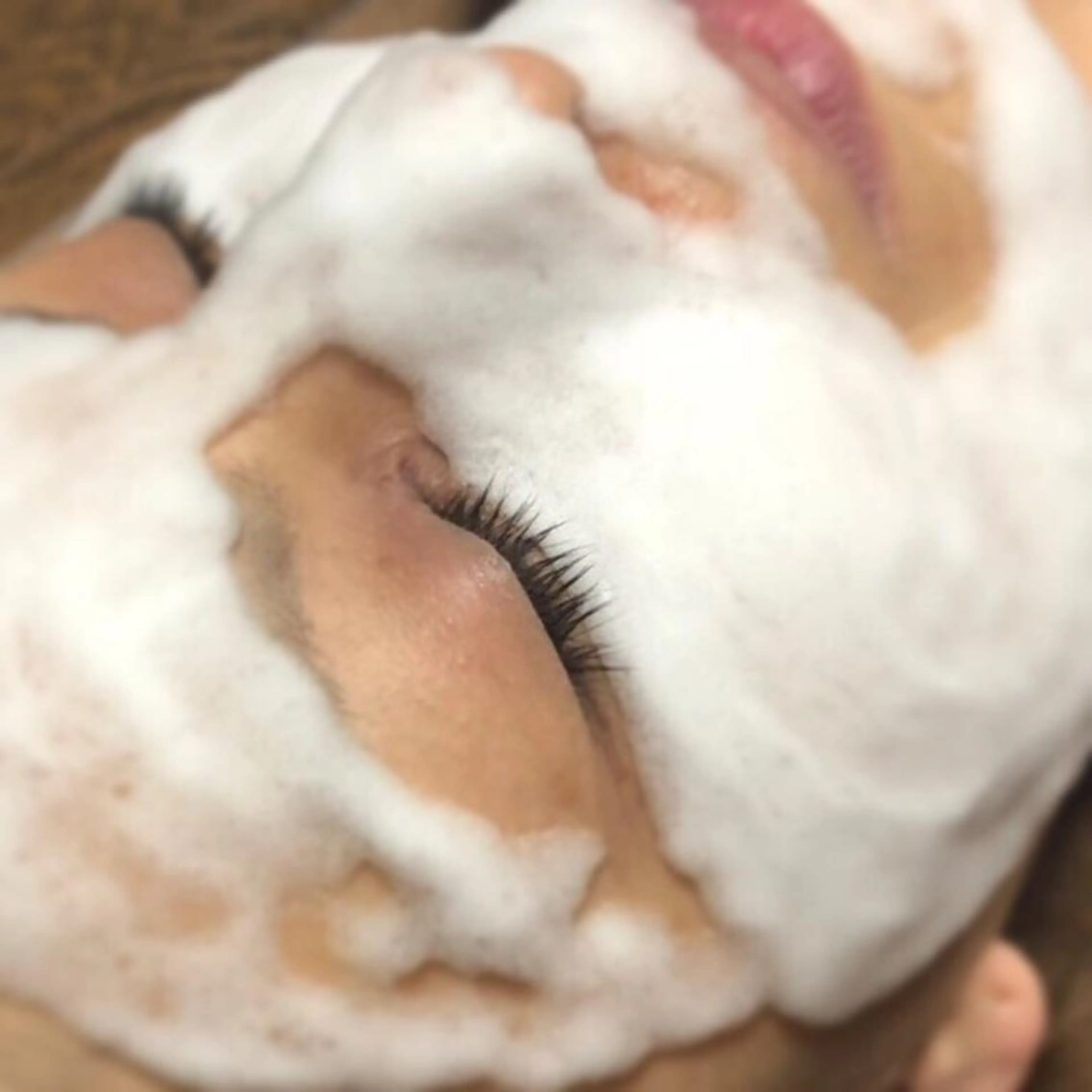 アヴニール プライベートサロンのその他イメージ