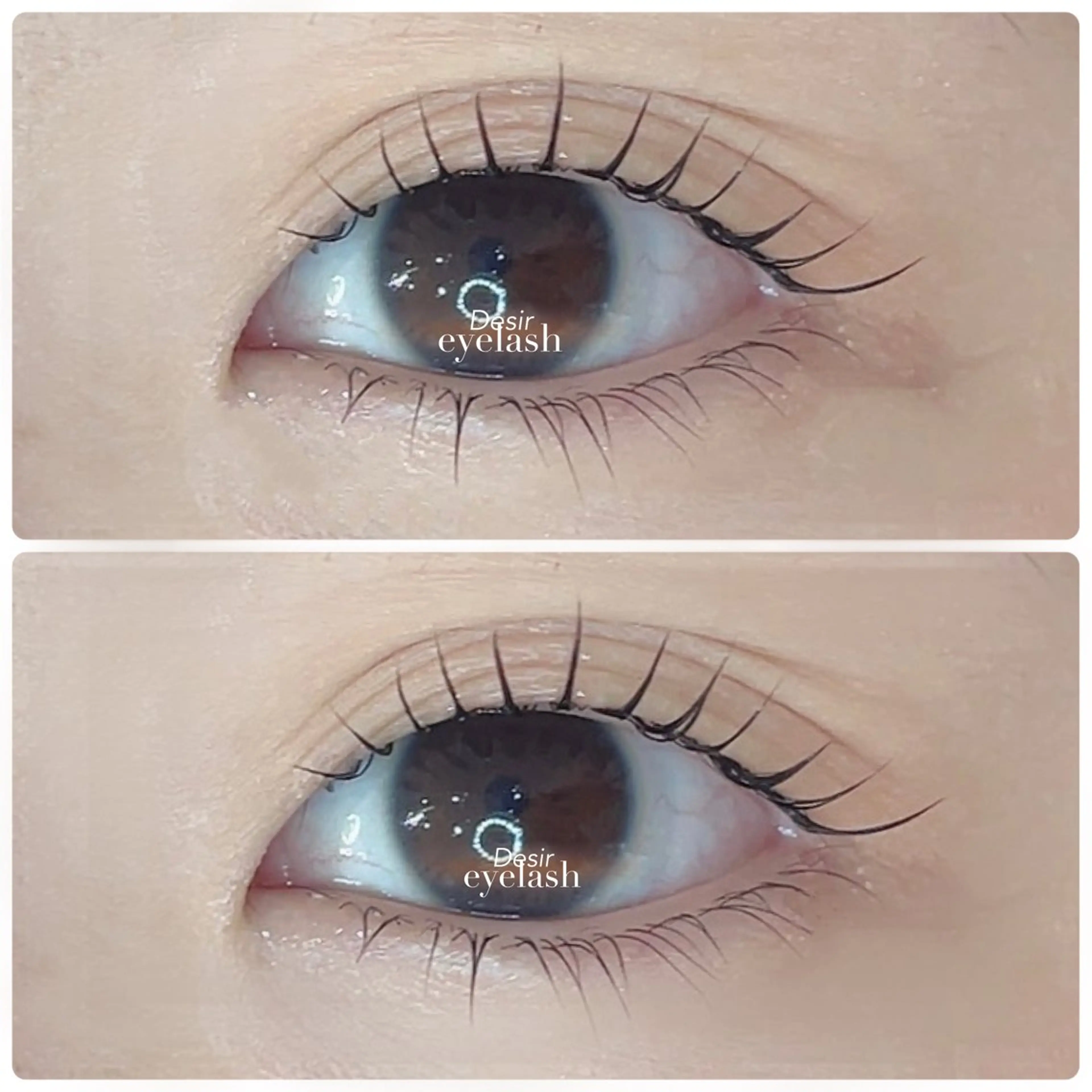 マツエク・マツパ マツパ 🌹ブリランテ🌹 大人気店のマツエク・マツパデザイン