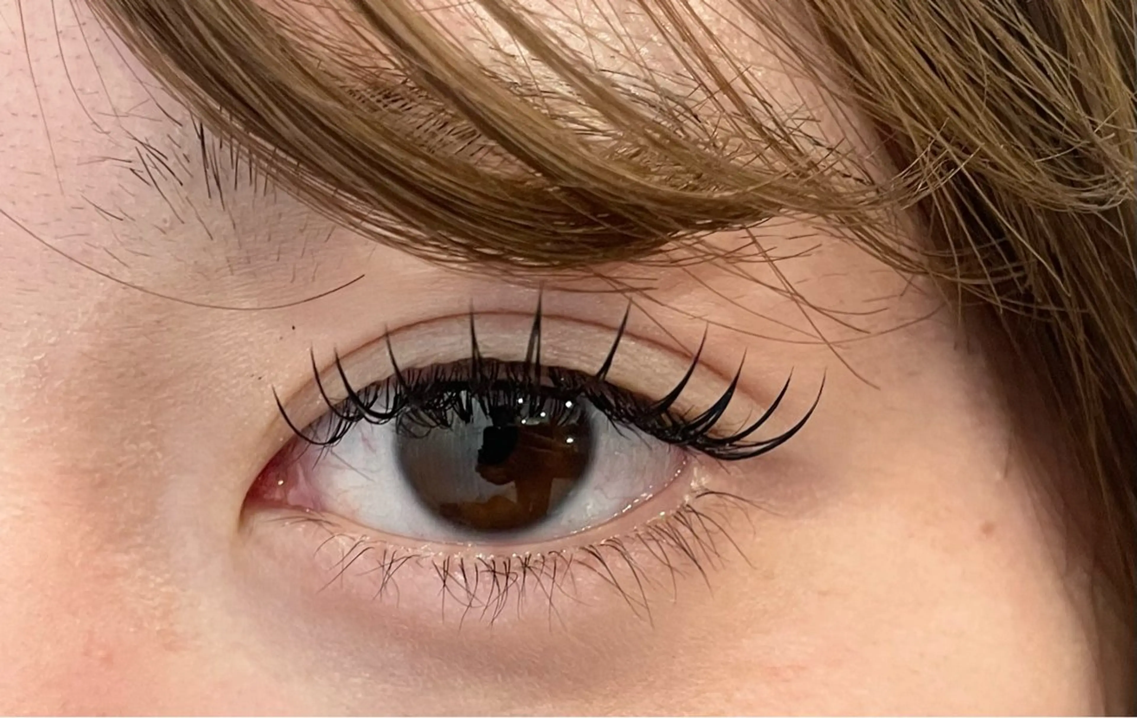 12月25日限定🌙フラットラッシュorセーブルラッシュ🌙120本の写真