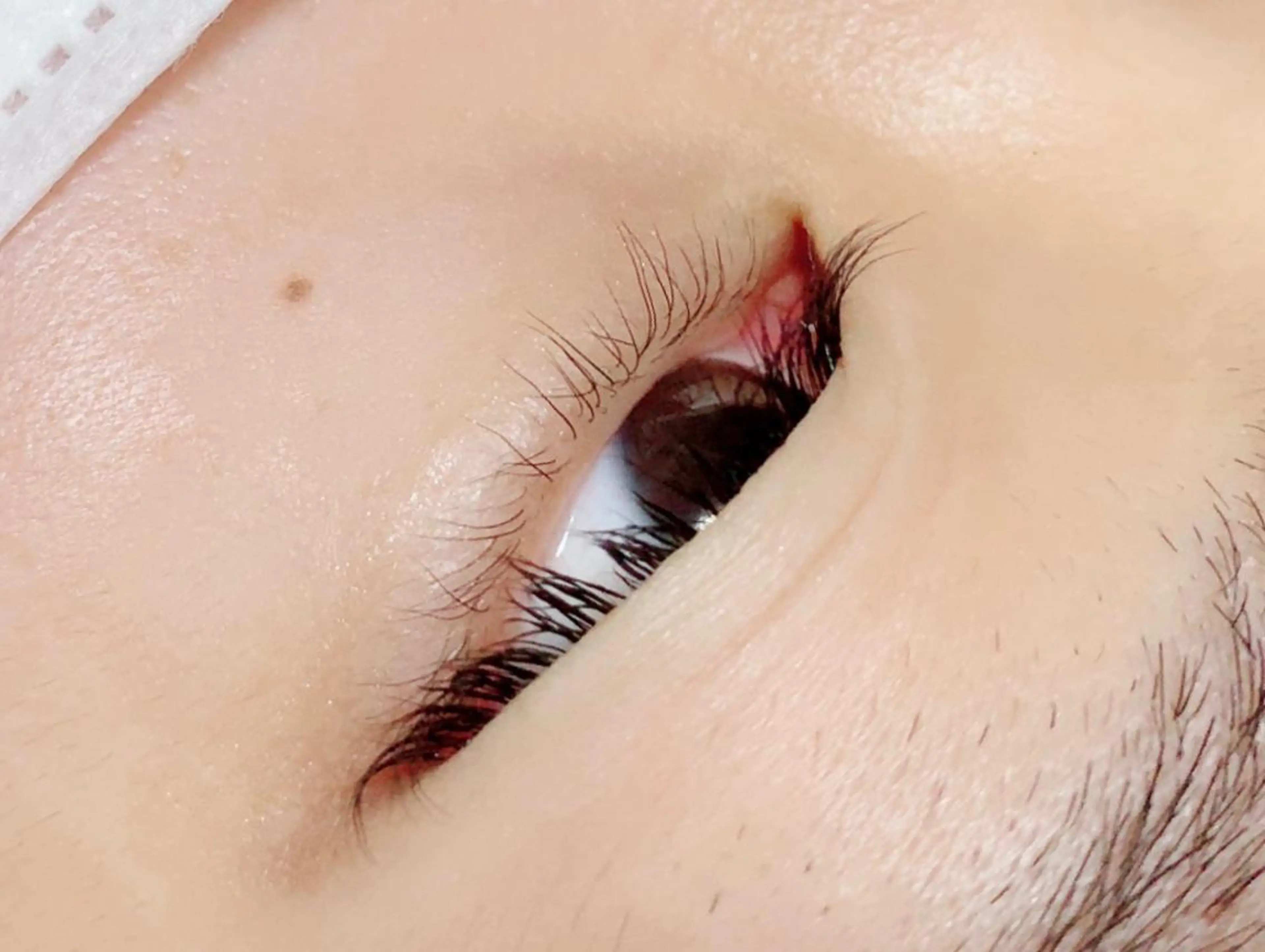 マツエク・マツパ DRESS (ドレス)のマツエク・マツパデザイン