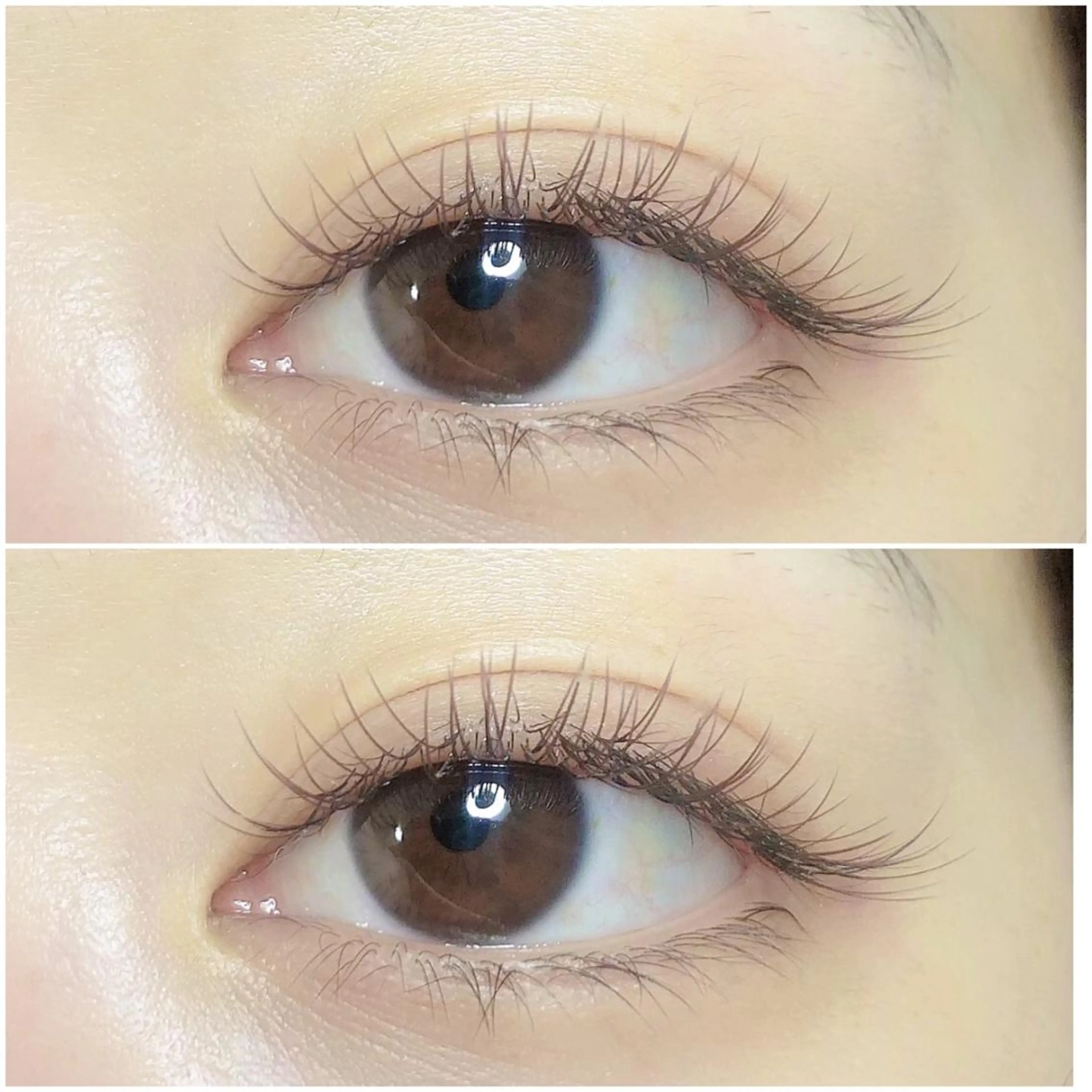 ネイル ブラウン マットネイル cocoネイル&まつげサロン所属・片平 恭子のマツエク・マツパデザイン