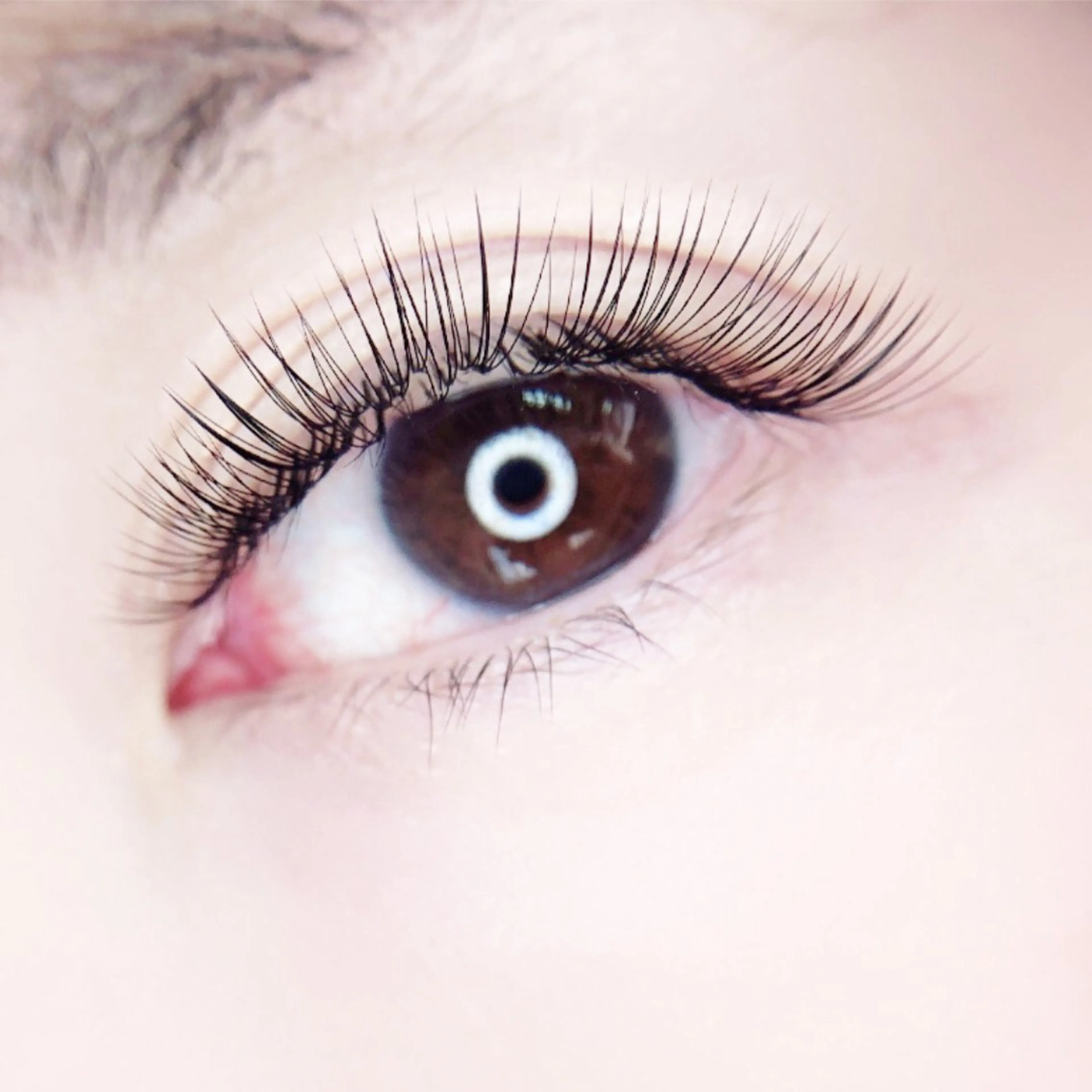 マツエク・マツパ マツエク MIGNON 冨田　当日予約のみのマツエク・マツパデザイン