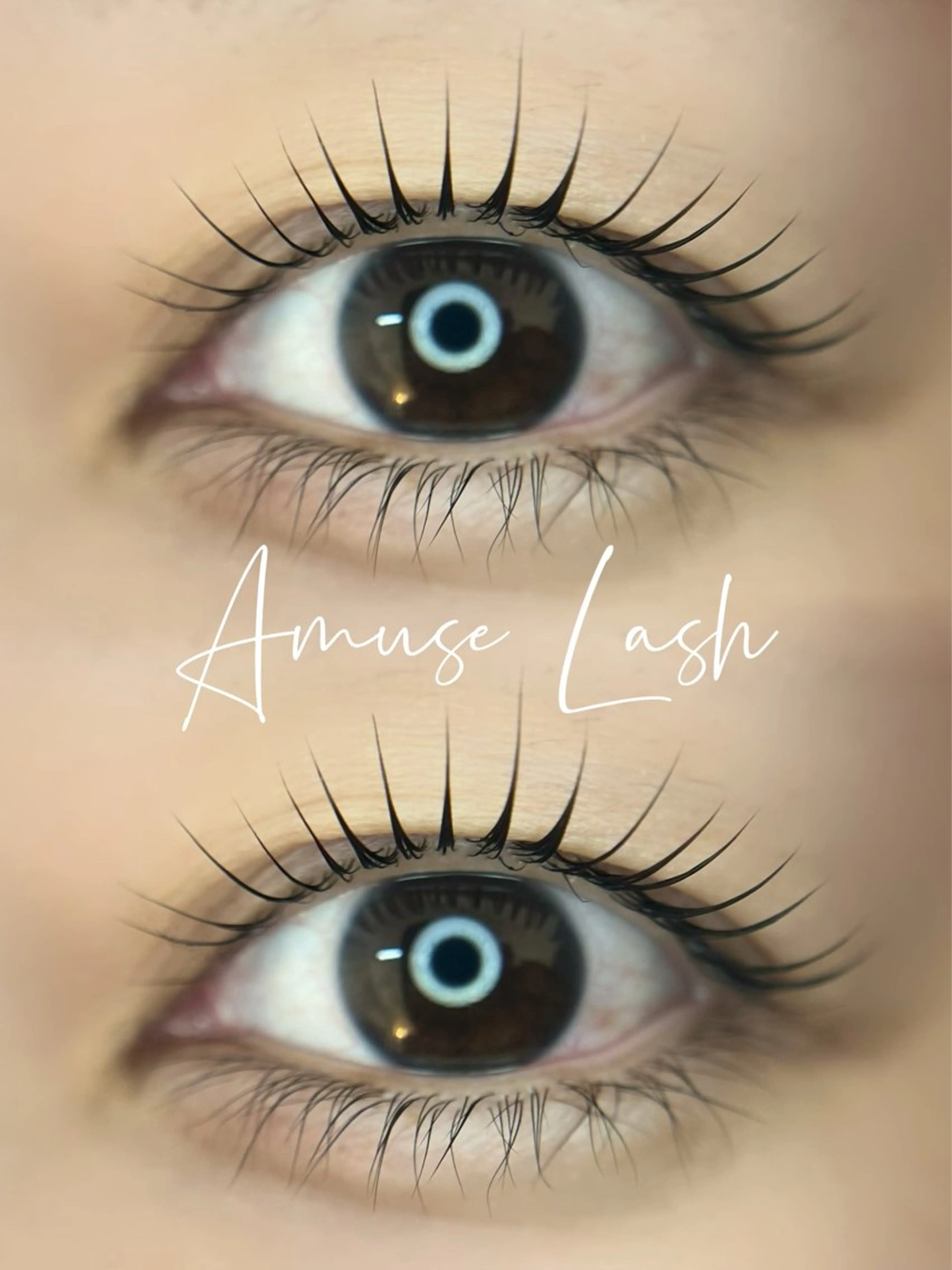 【期間限定】ラッシュリフトの写真