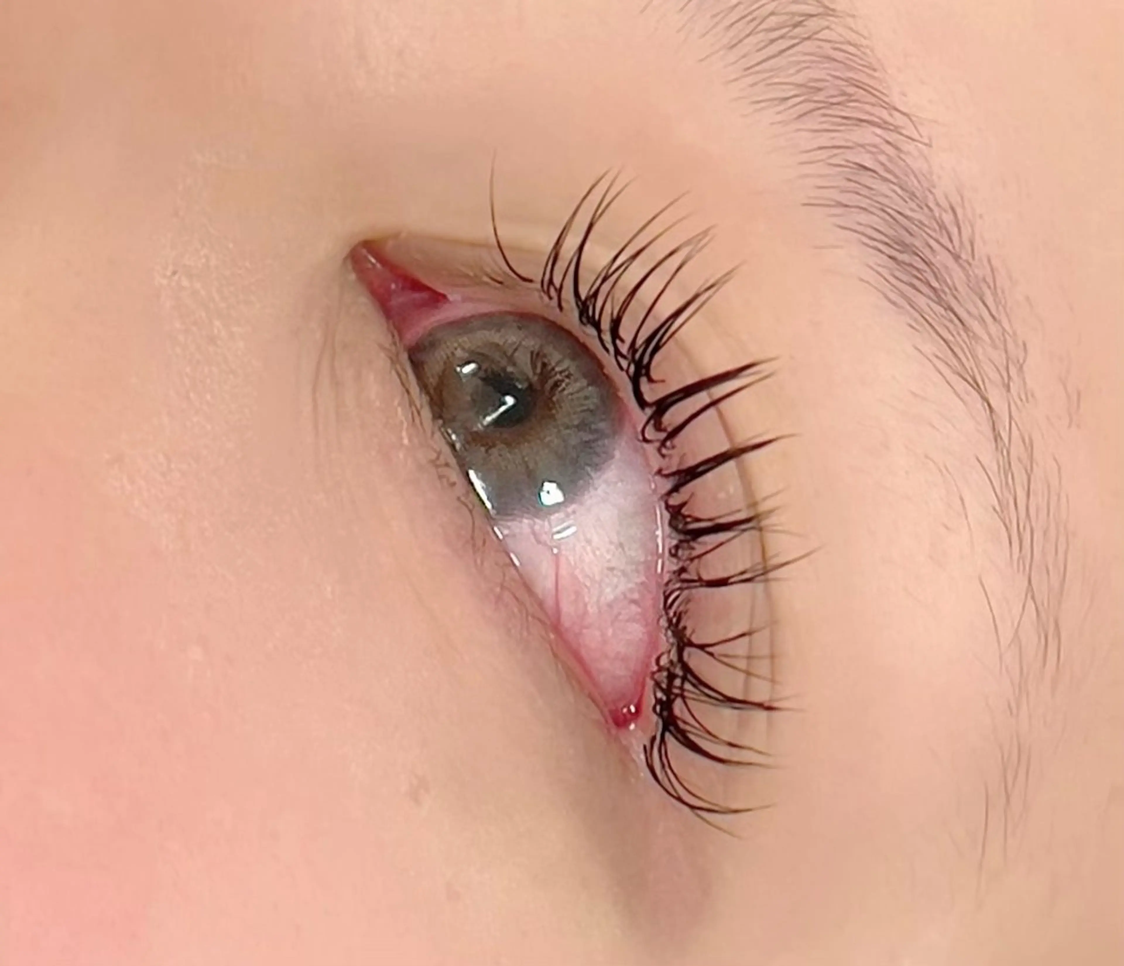 マツエク・マツパ Cカール Eyelash & Nail 福岡天神　MAXKELLY所属・オ ノのマツエク・マツパデザイン