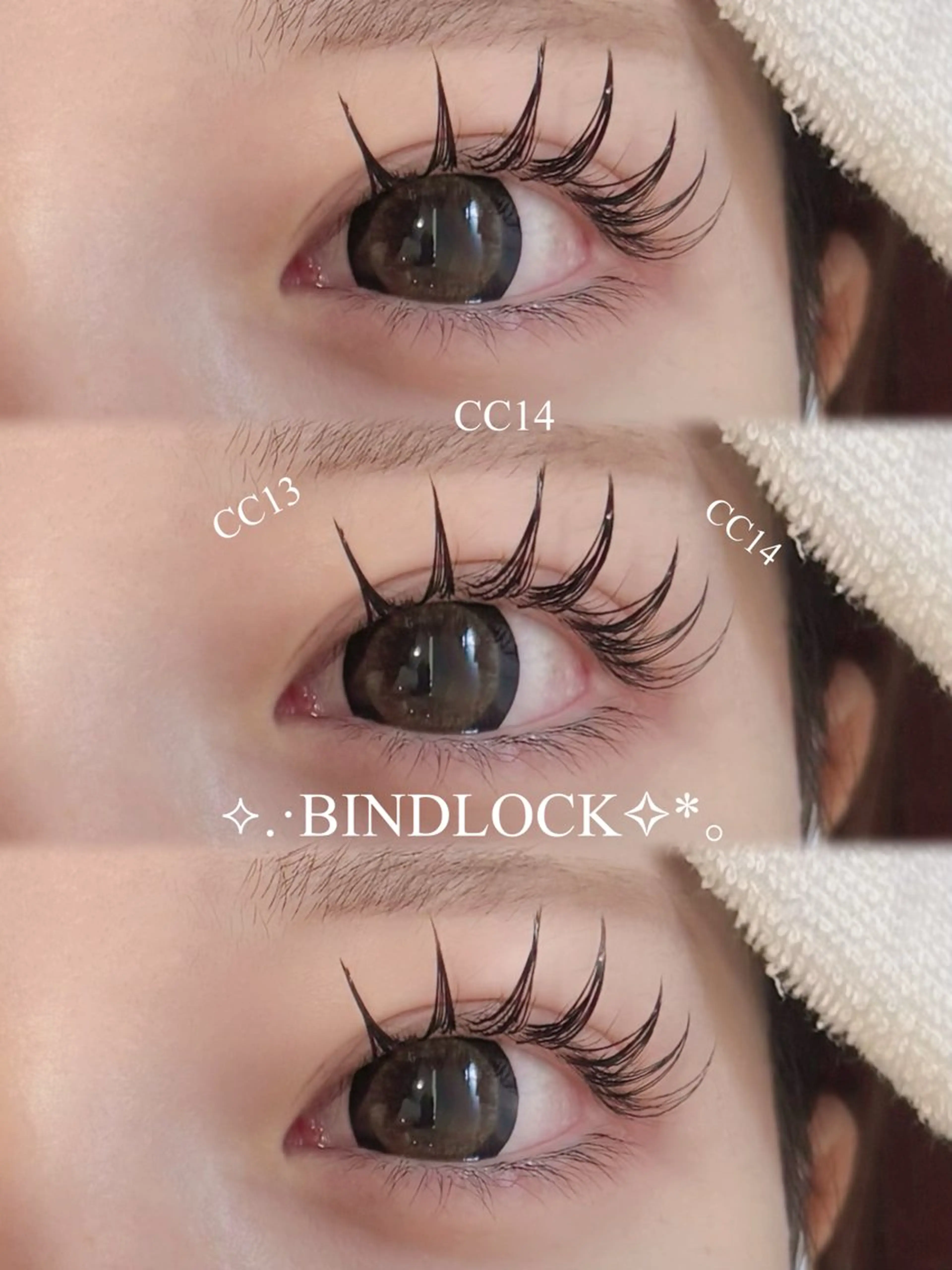 バインドロック80束💫の写真