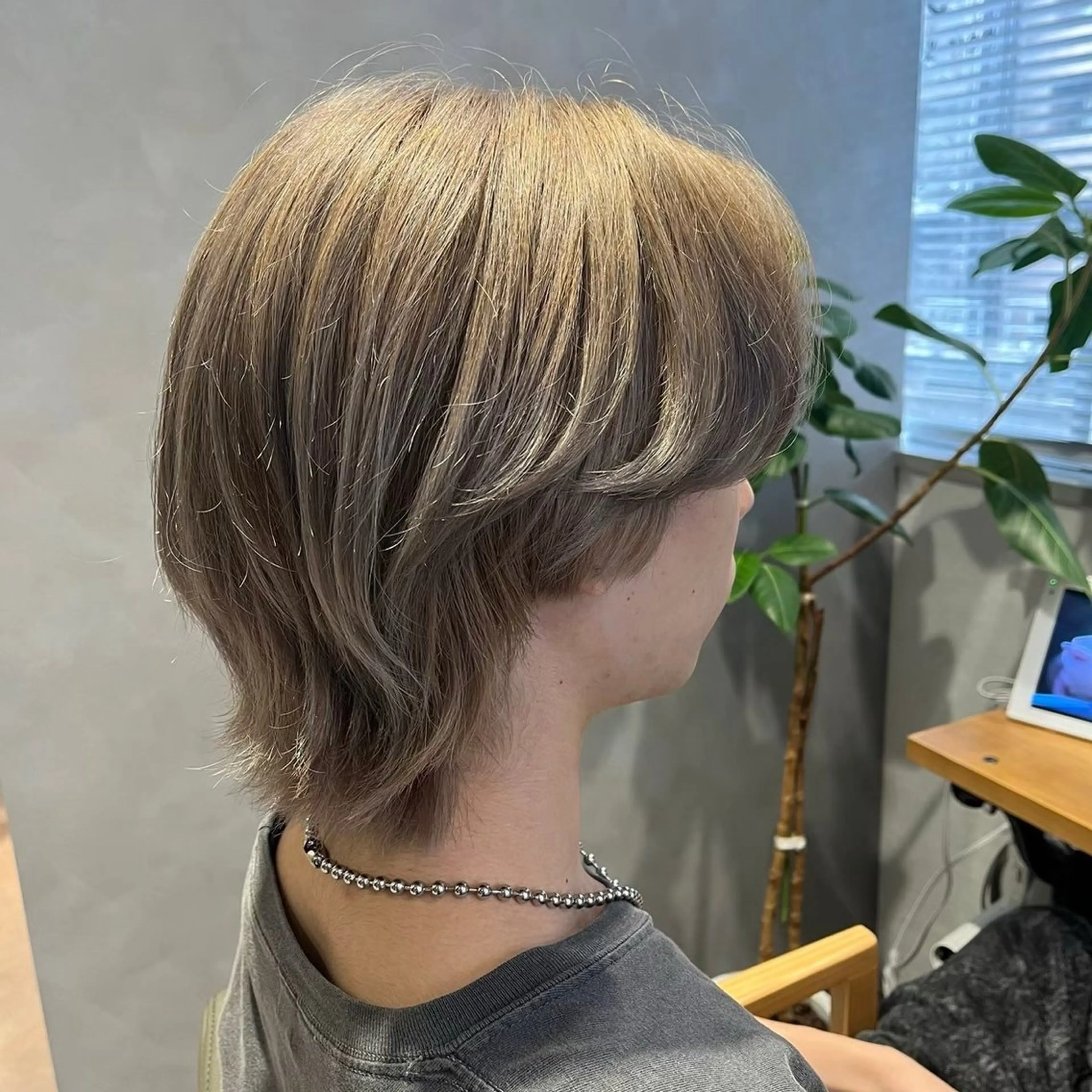 カットモデルの写真