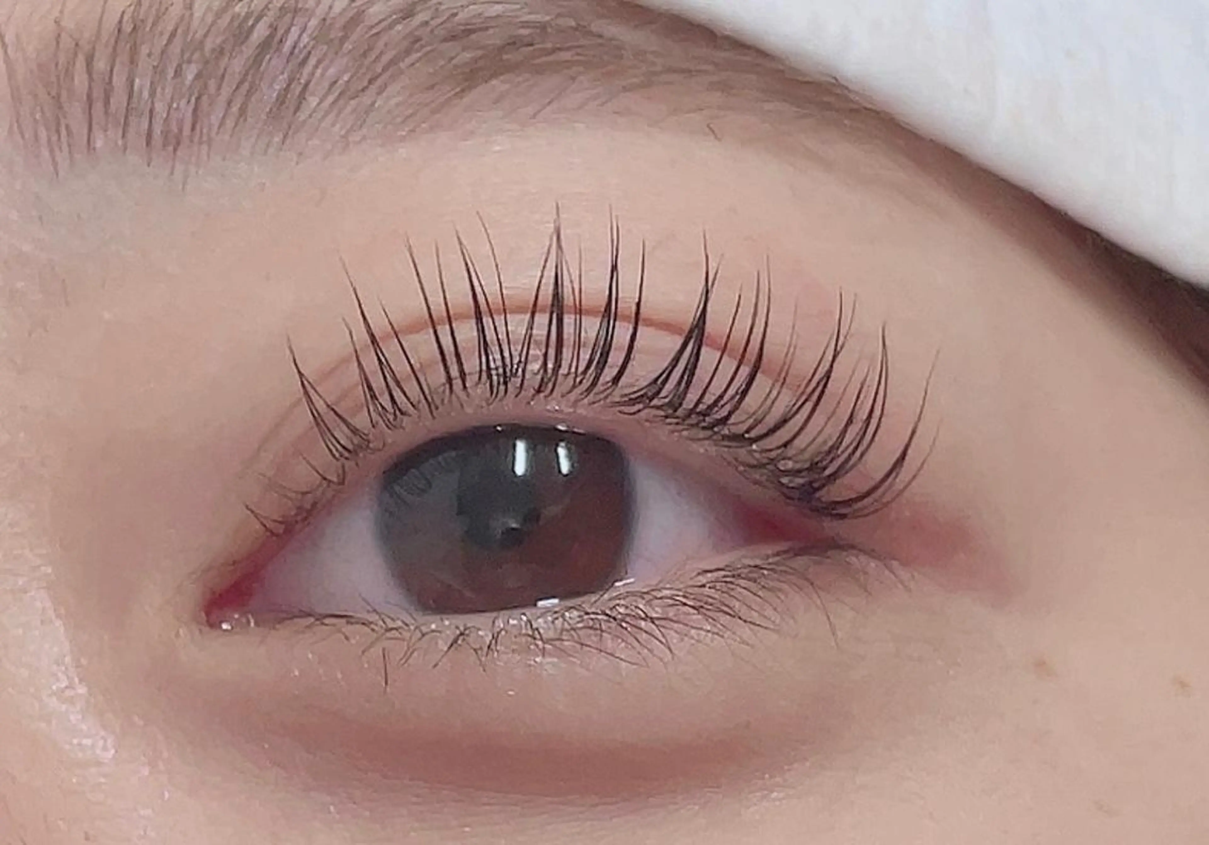 パリジェンヌ風💜ラッシュリフト(コーティング付)💜新規様→3900円リピート様4500円の写真