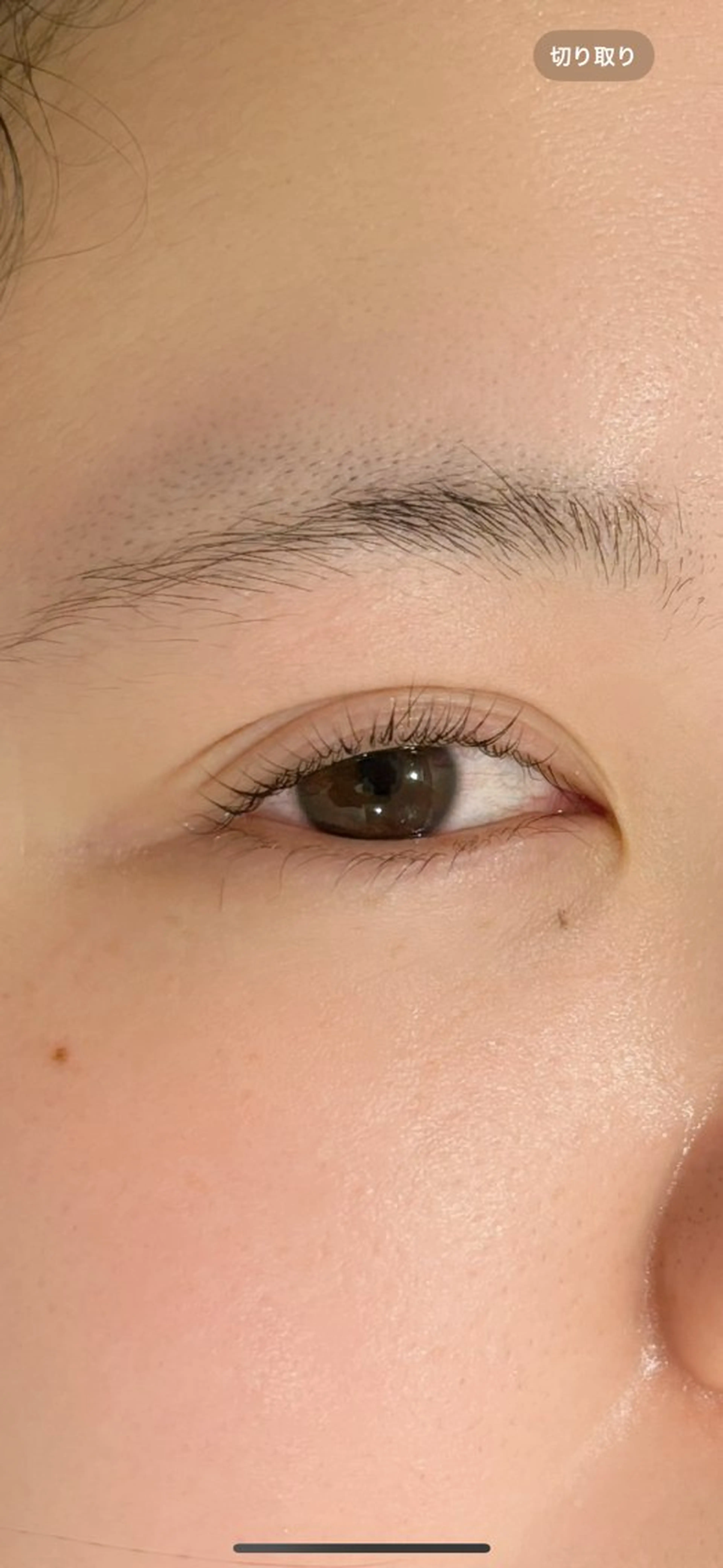 マツエク・マツパ eyesalon【chipie la maison】所属・🌻Yu ki🌻のマツエク・マツパデザイン