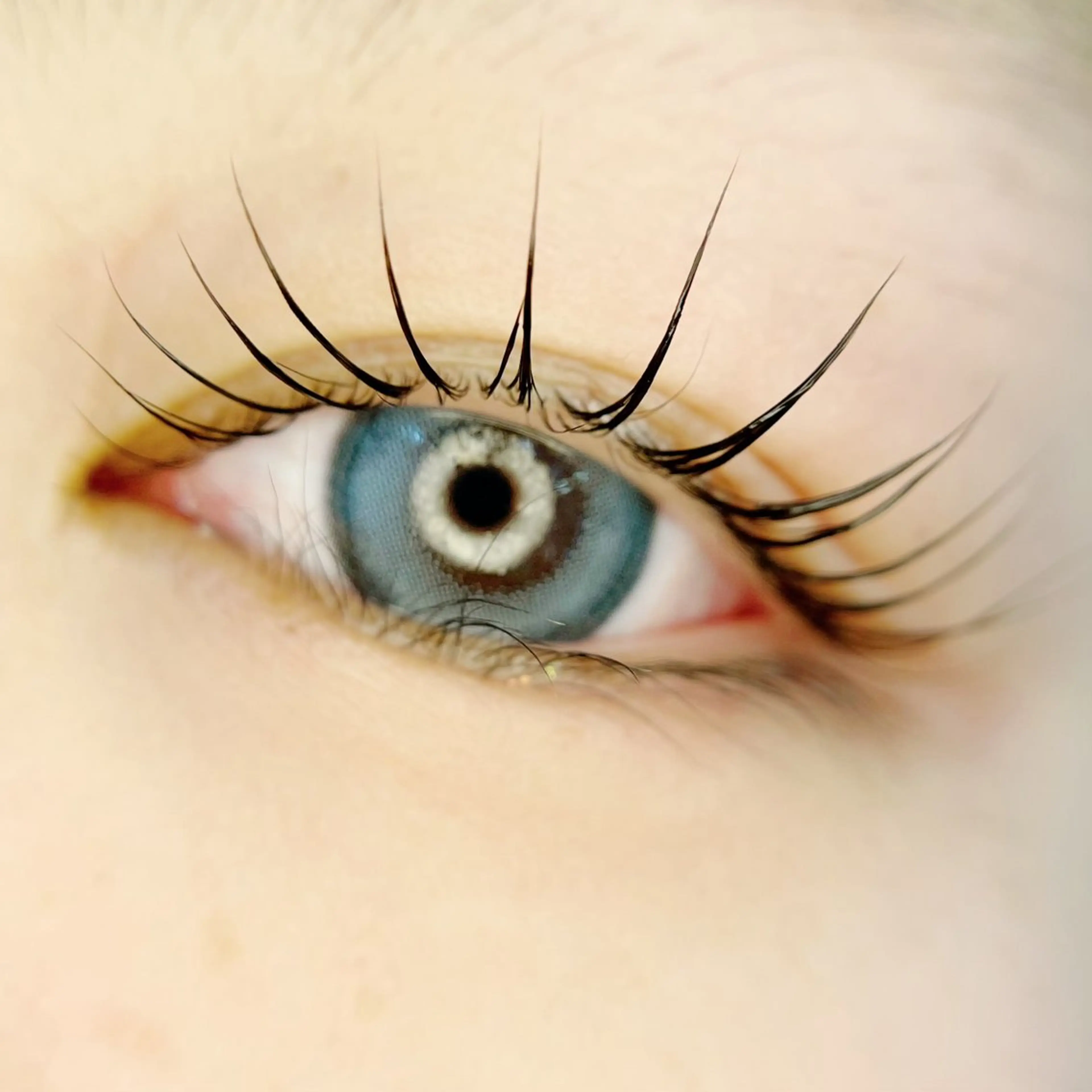 初回50%OFF!!✨コーティング付き✨ケラチンラッシュリフトの写真