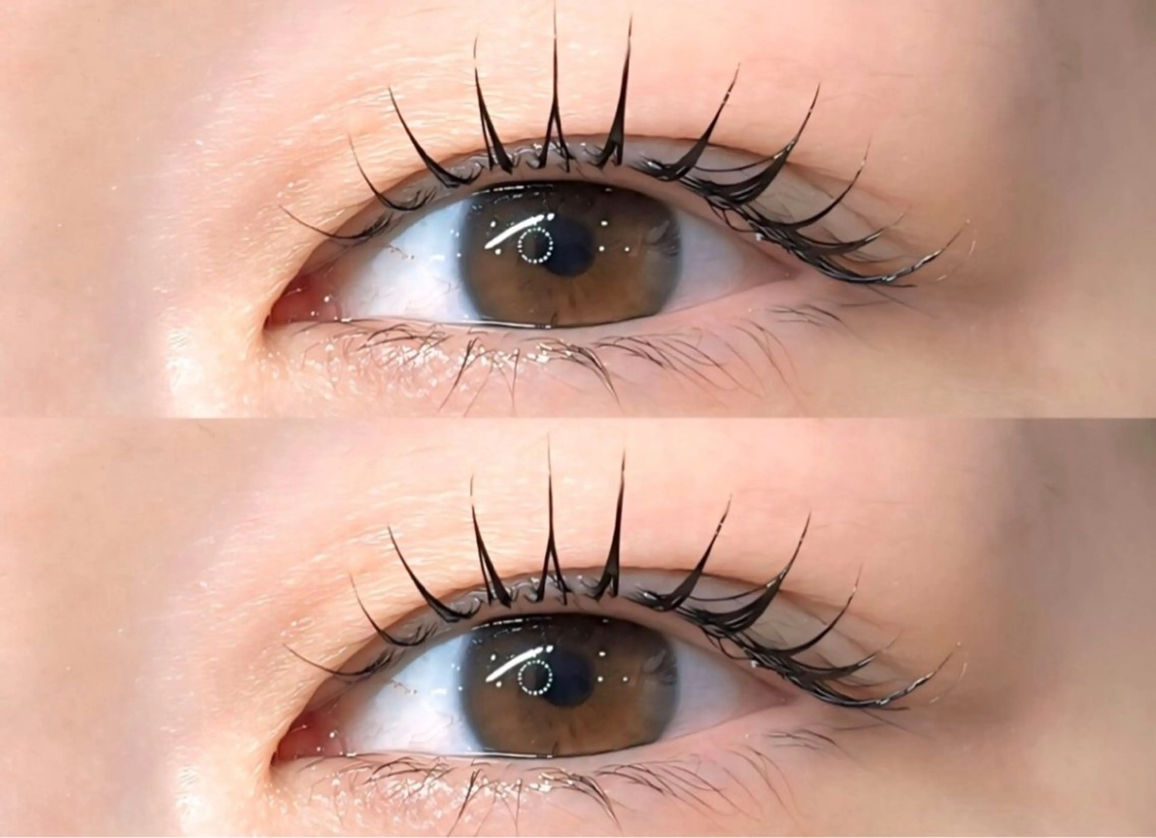 マツエク・マツパ マツパ 🌹ブリランテ🌹 大人気店のマツエク・マツパデザイン