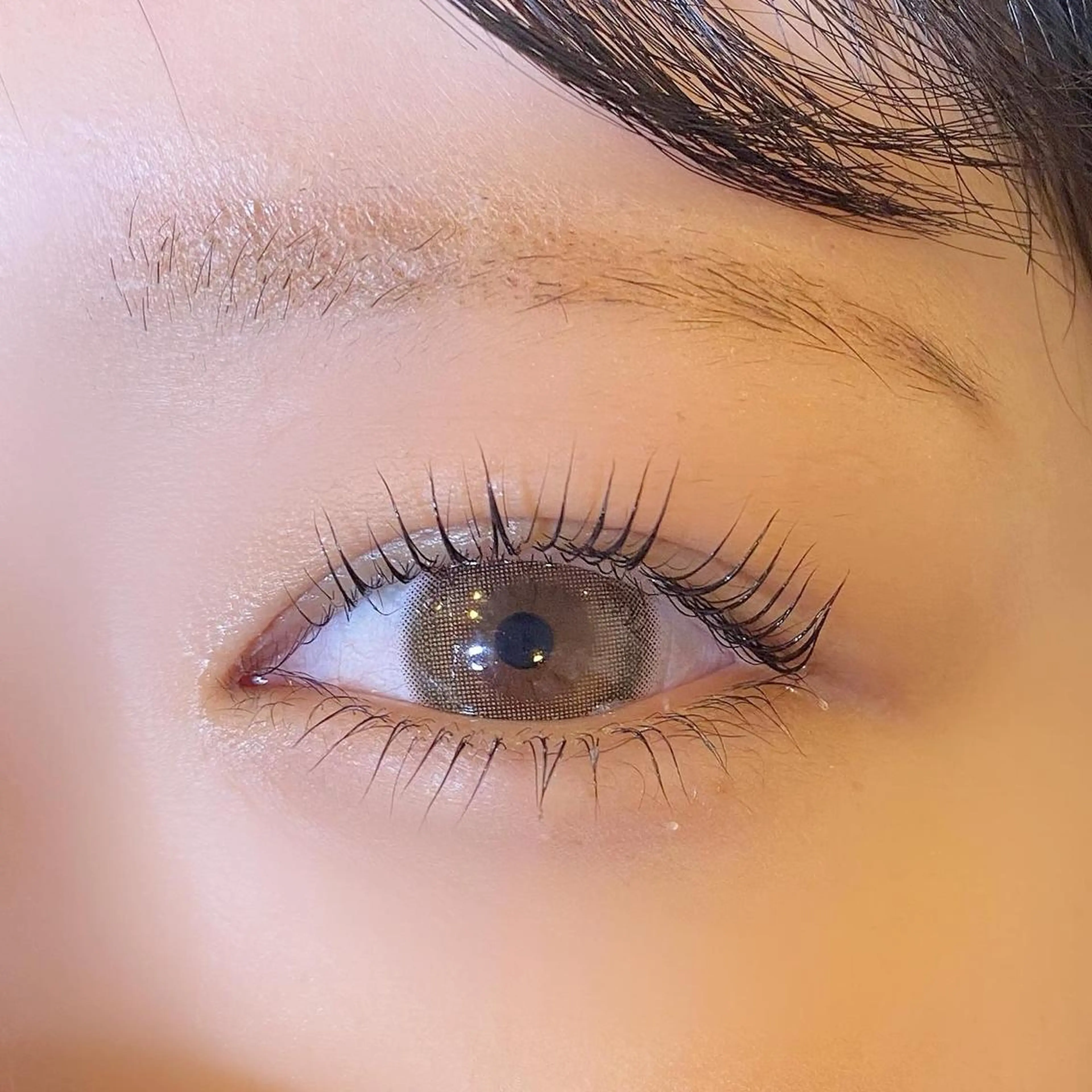 上下パーマ(ラッシュリフトorパリジェンヌ)モデル💙お時間90~100分程度🐟の写真