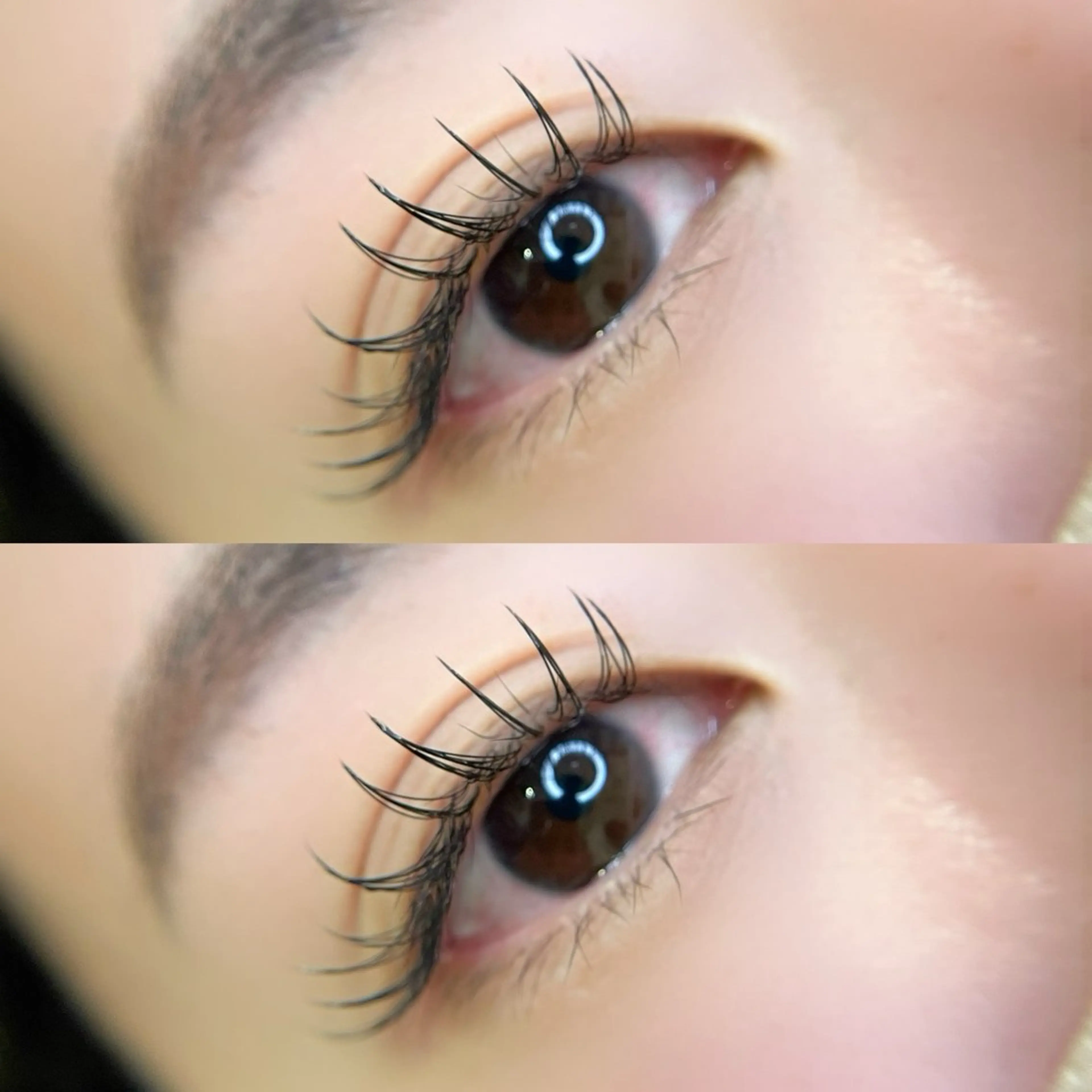 マツエク・マツパ アイブロウサロン WHITE EYE 岩出 眉毛専門店【ホワイトアイ】所属・WHITE EYE🫧岩出店のマツエク・マツパデザイン