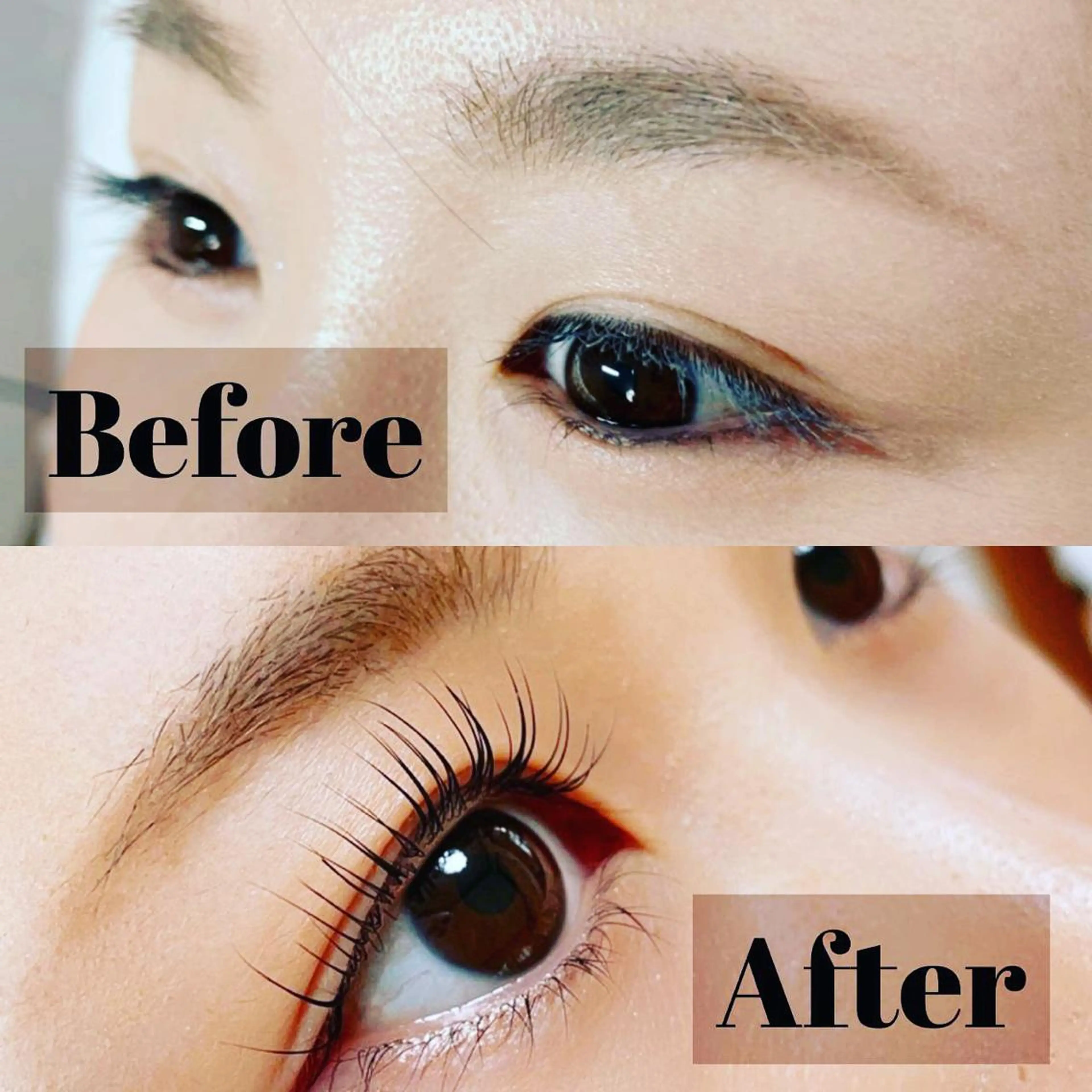 パリジェンヌラッシュリフト＋TRの写真