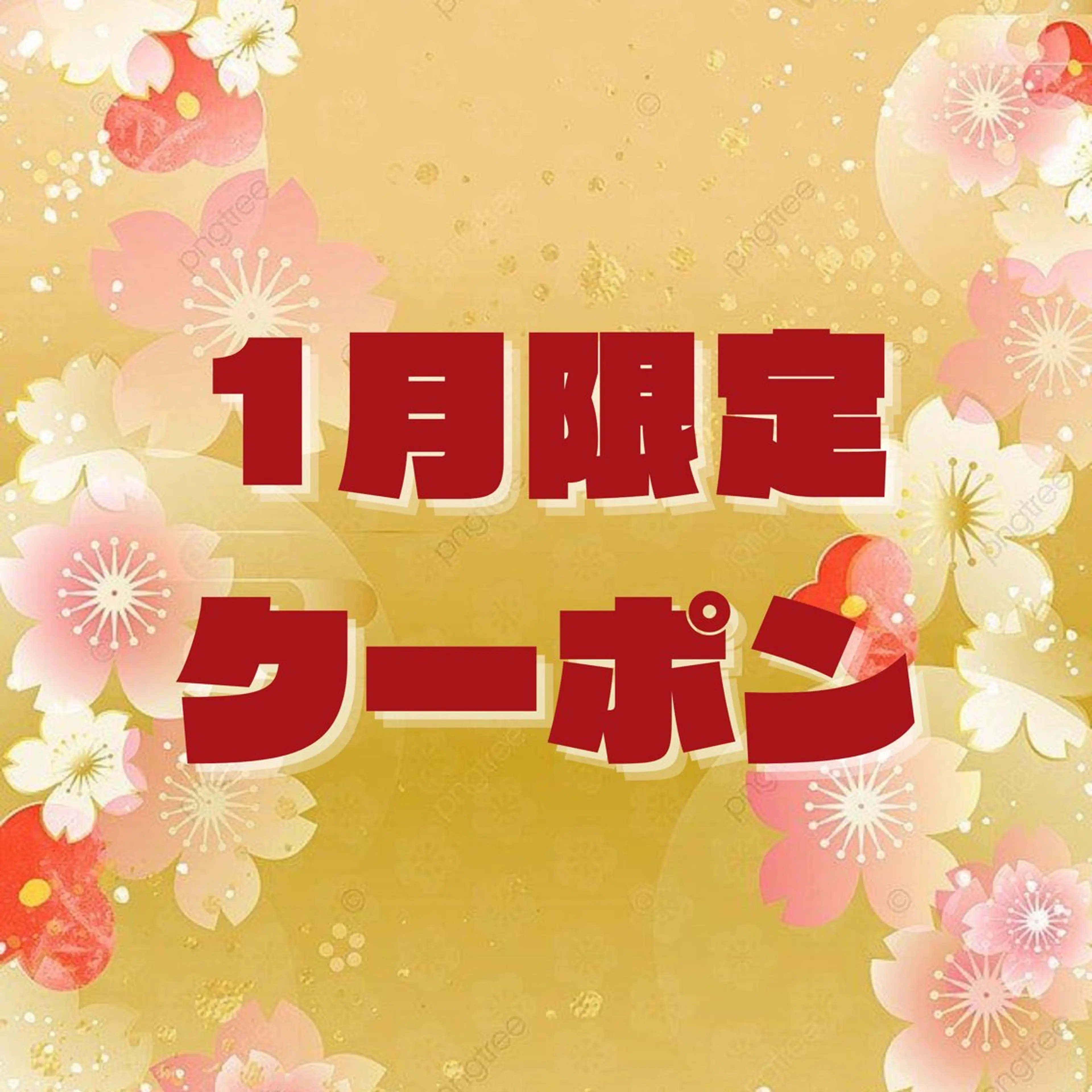 【⛩1月限定⛩】🐈‍⬛まつ毛パーマ上のみ 🎀ིྀ+アイシャンプー&トリートメントの写真