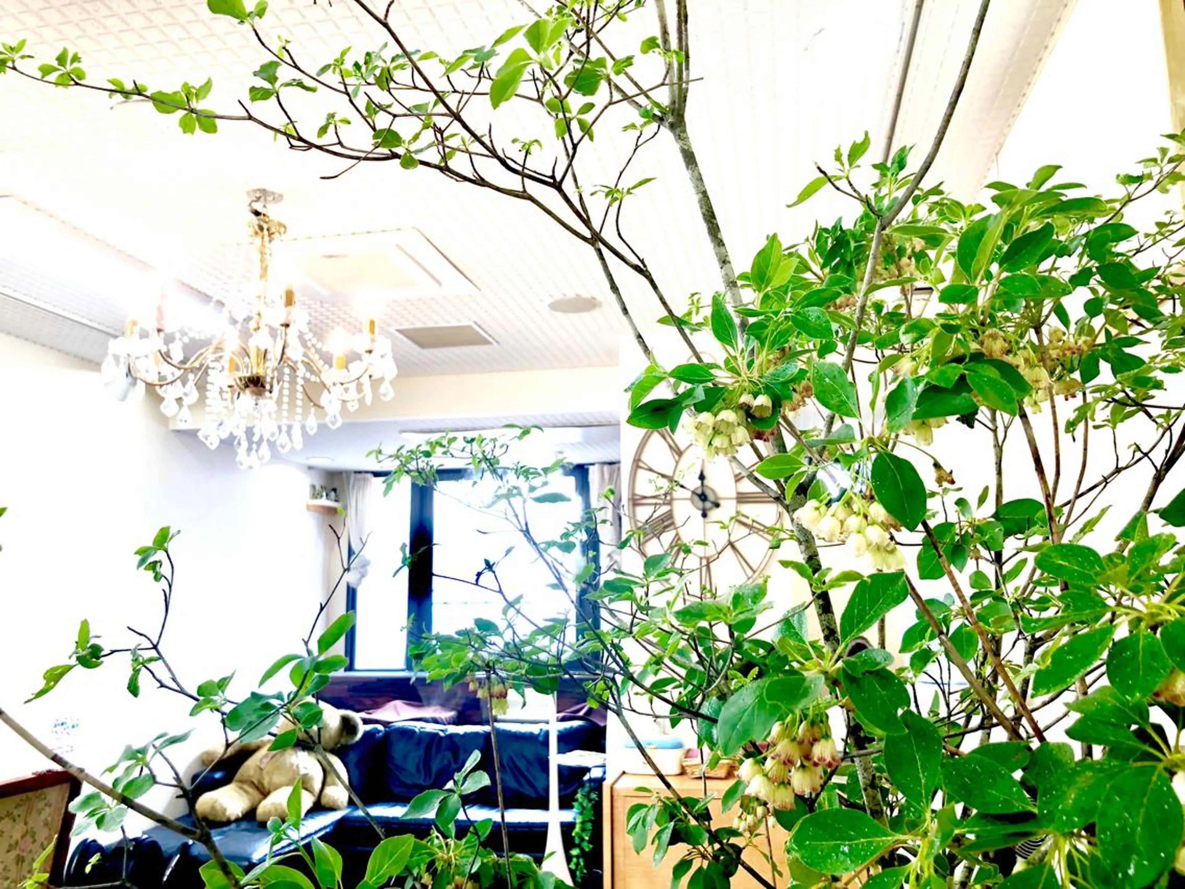 本通り店 ビーナスフォートのマツエク・マツパデザイン