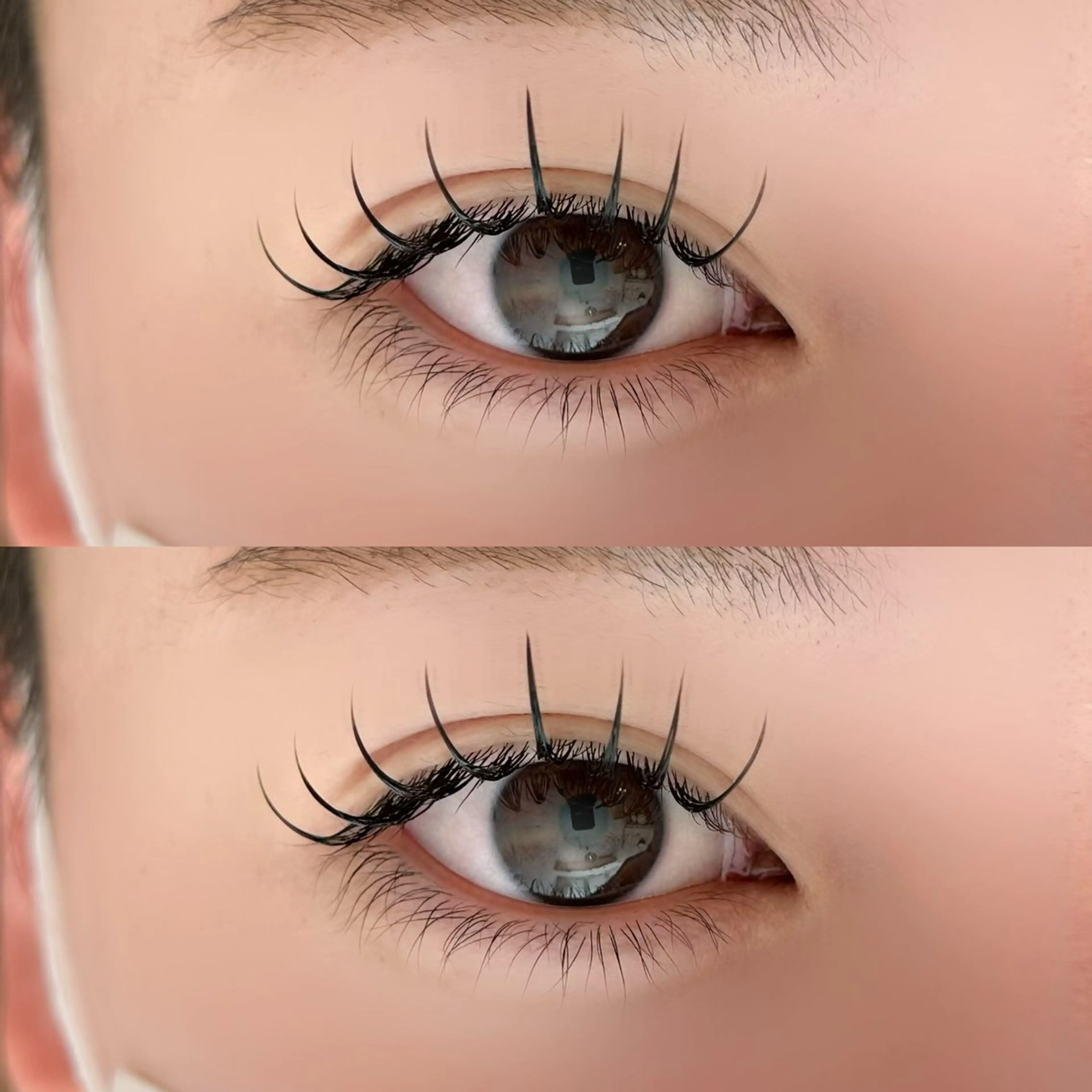 マツエク・マツパ フラットラッシュ マツエク 🐾ROAR🐾 HAZUKIのマツエク・マツパデザイン