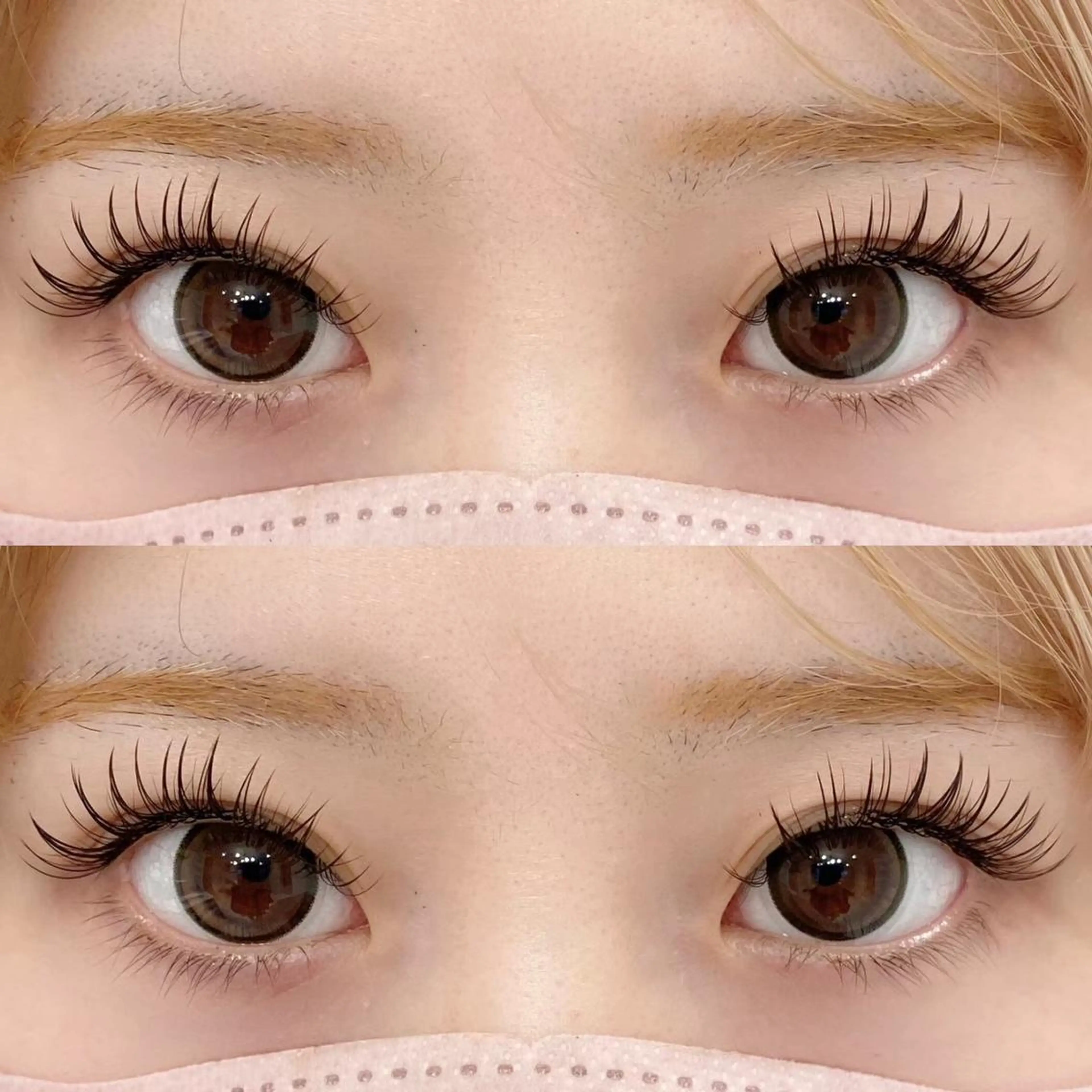 パリジェンヌラッシュリフト＆ハリウッドブロウリフトの写真