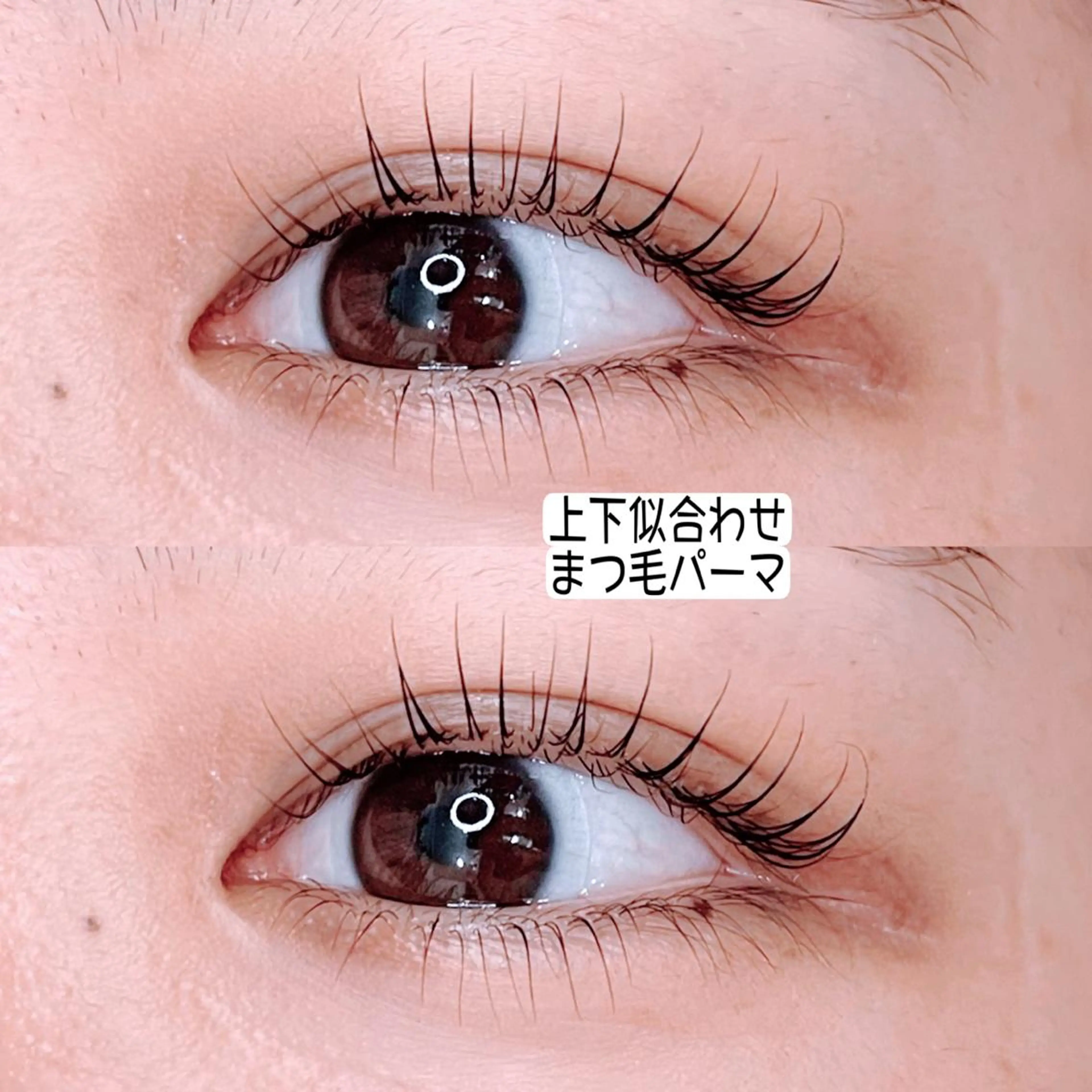 マツエク・マツパ Shain所属・Shain一之江 /ひかり🤍のマツエク・マツパデザイン