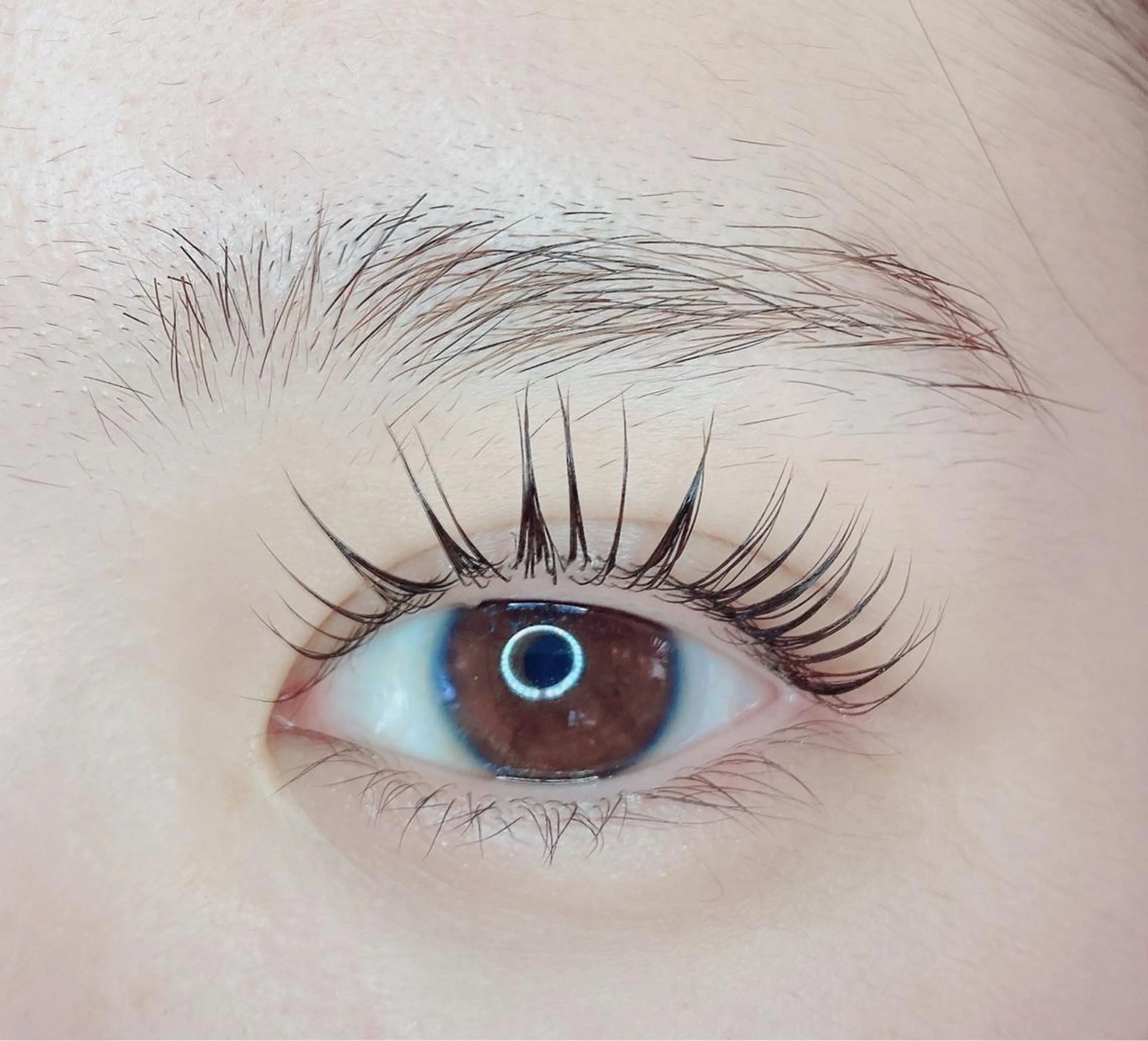 マツエク・マツパ TIARA池袋西口店 店長YASUKA💐のマツエク・マツパデザイン