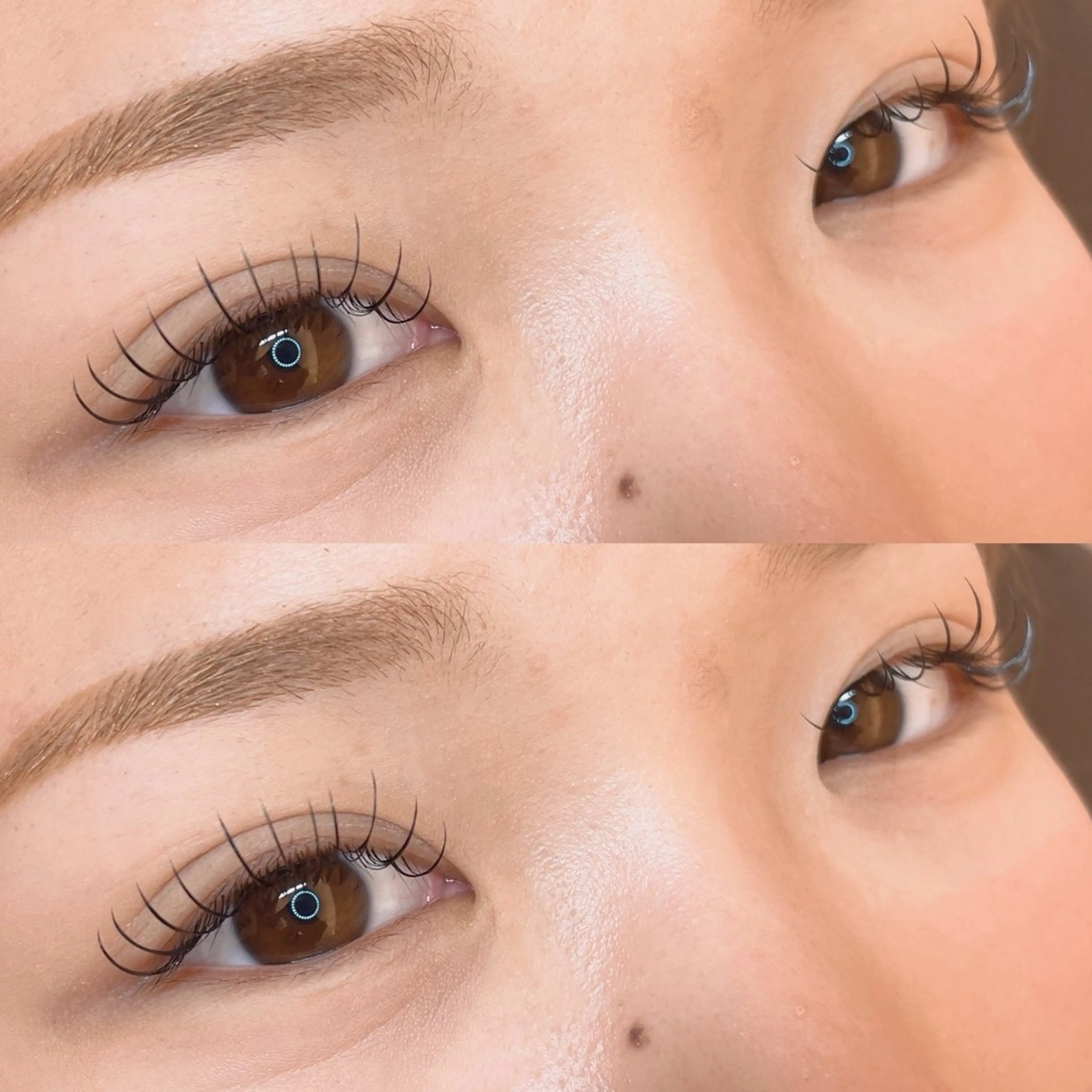 ✨最高級抗菌セーブルエクステ100本✨オフ&コーティング付き🫧の写真