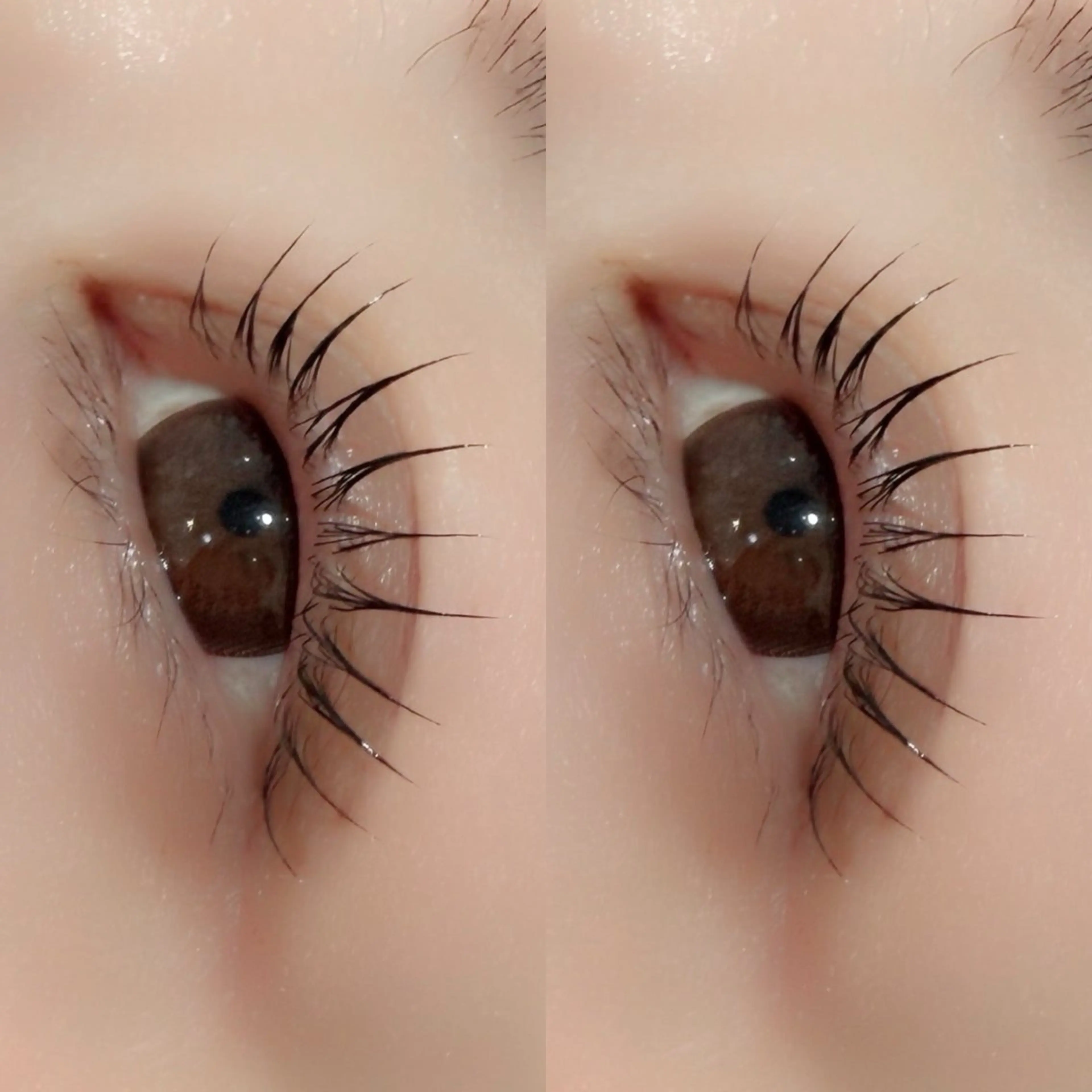 マツエク・マツパ マツパ 京橋/束感まつ毛& LED🦋藤本加奈のマツエク・マツパデザイン