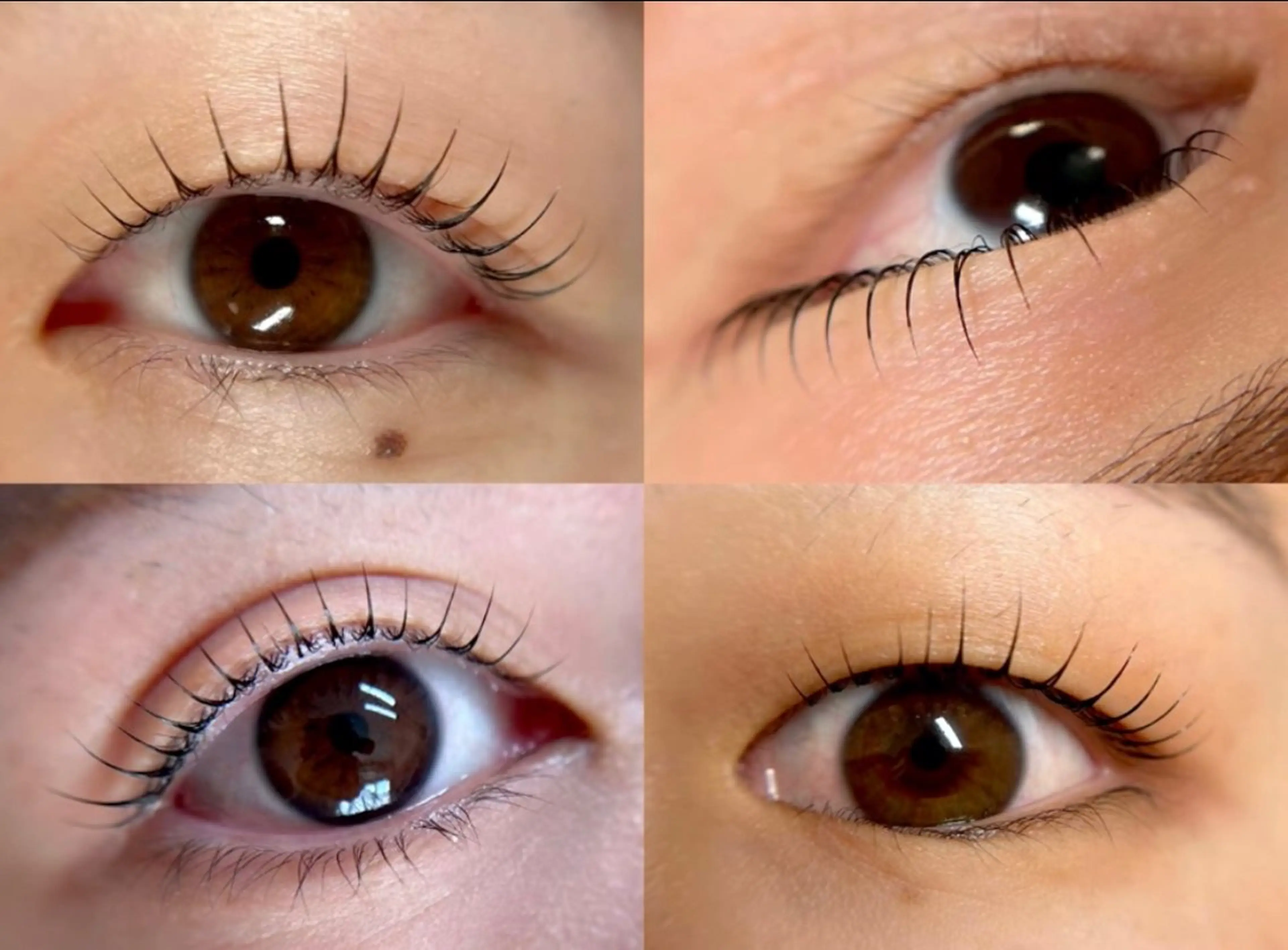 マツエク・マツパ マツパ アイブロウ33 White33久留米のマツエク・マツパデザイン