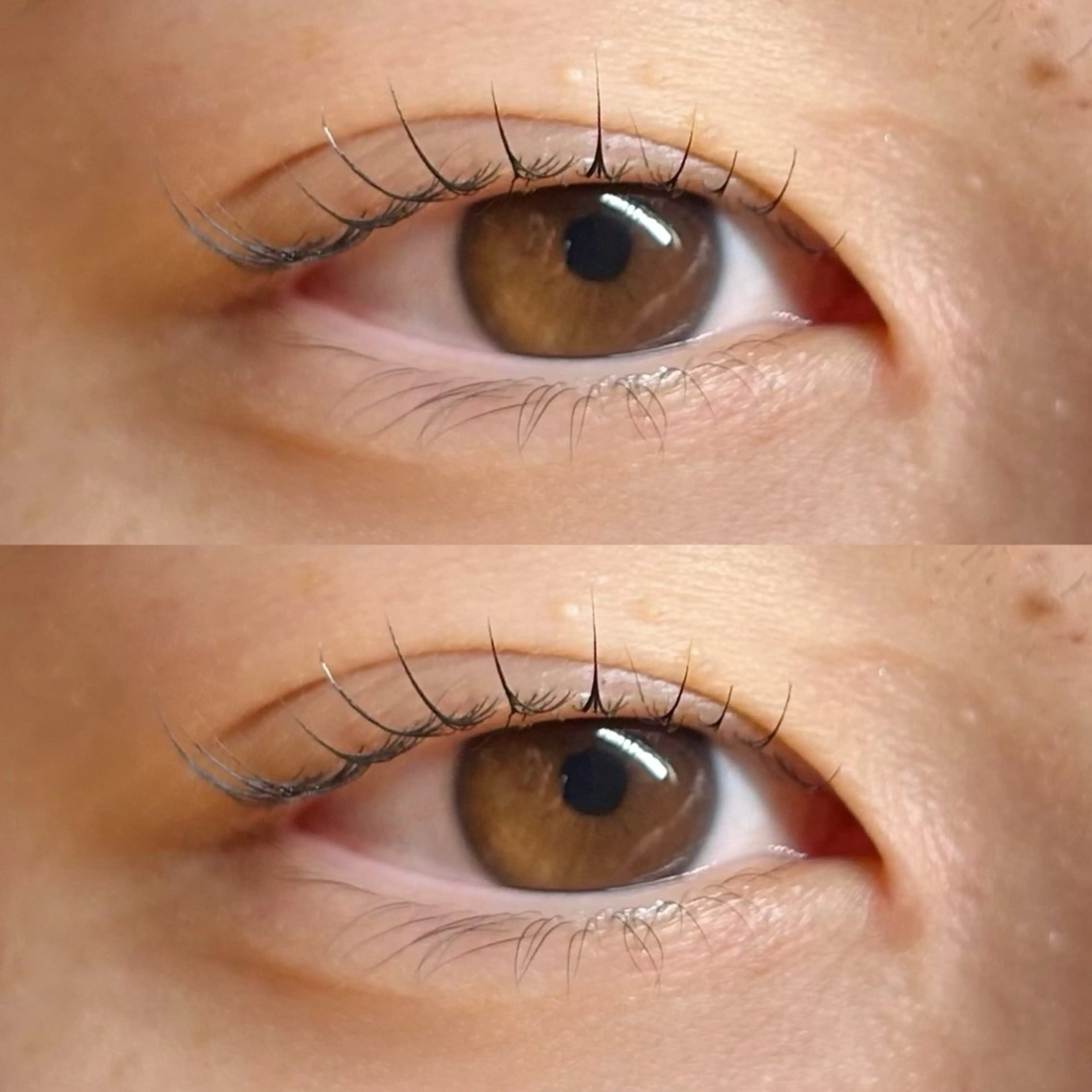 マツエク・マツパ マツパ Rise 🎀のマツエク・マツパデザイン