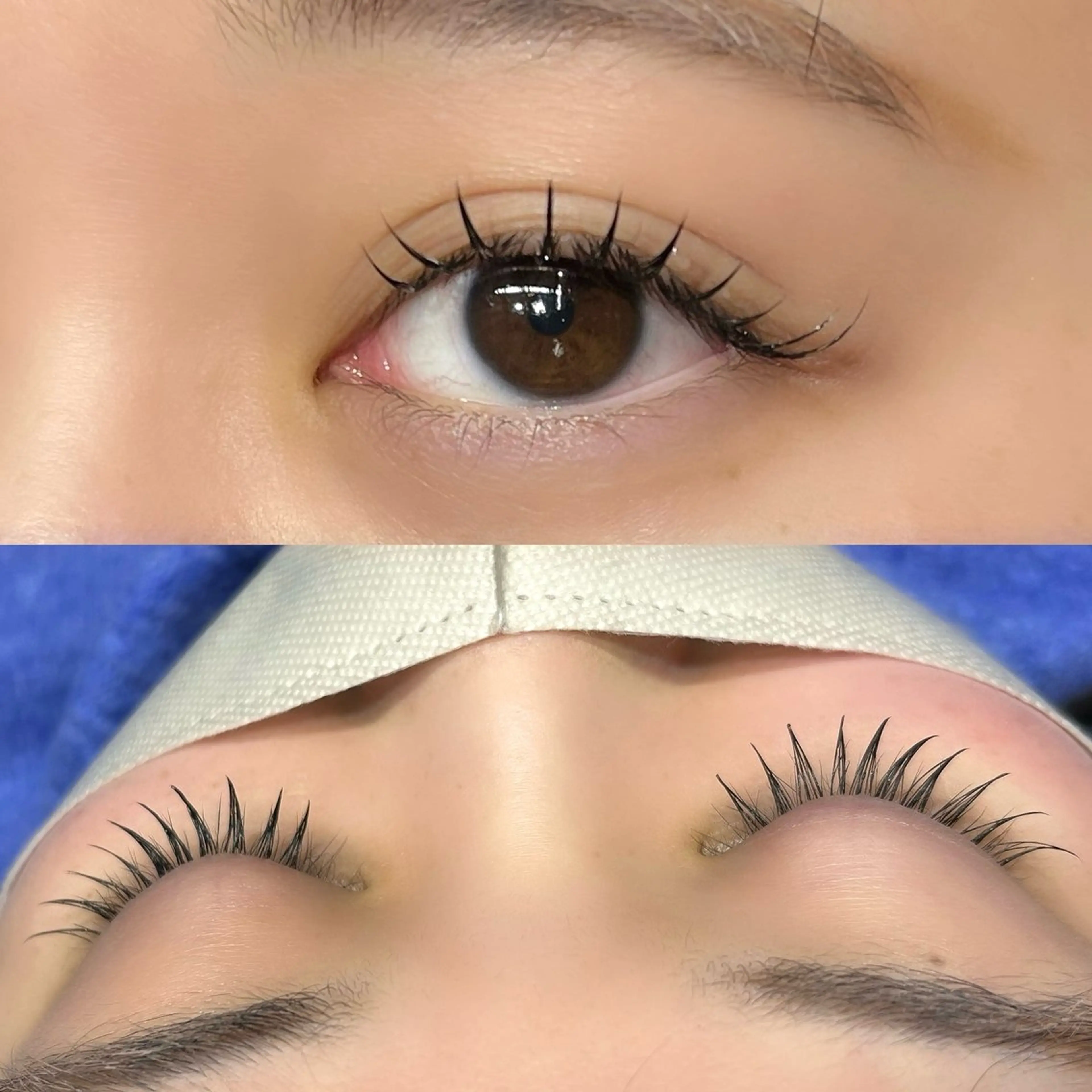 マツエク・マツパ Cカール フラットラッシュ マツエク Lupines🫧 MONEのマツエク・マツパデザイン