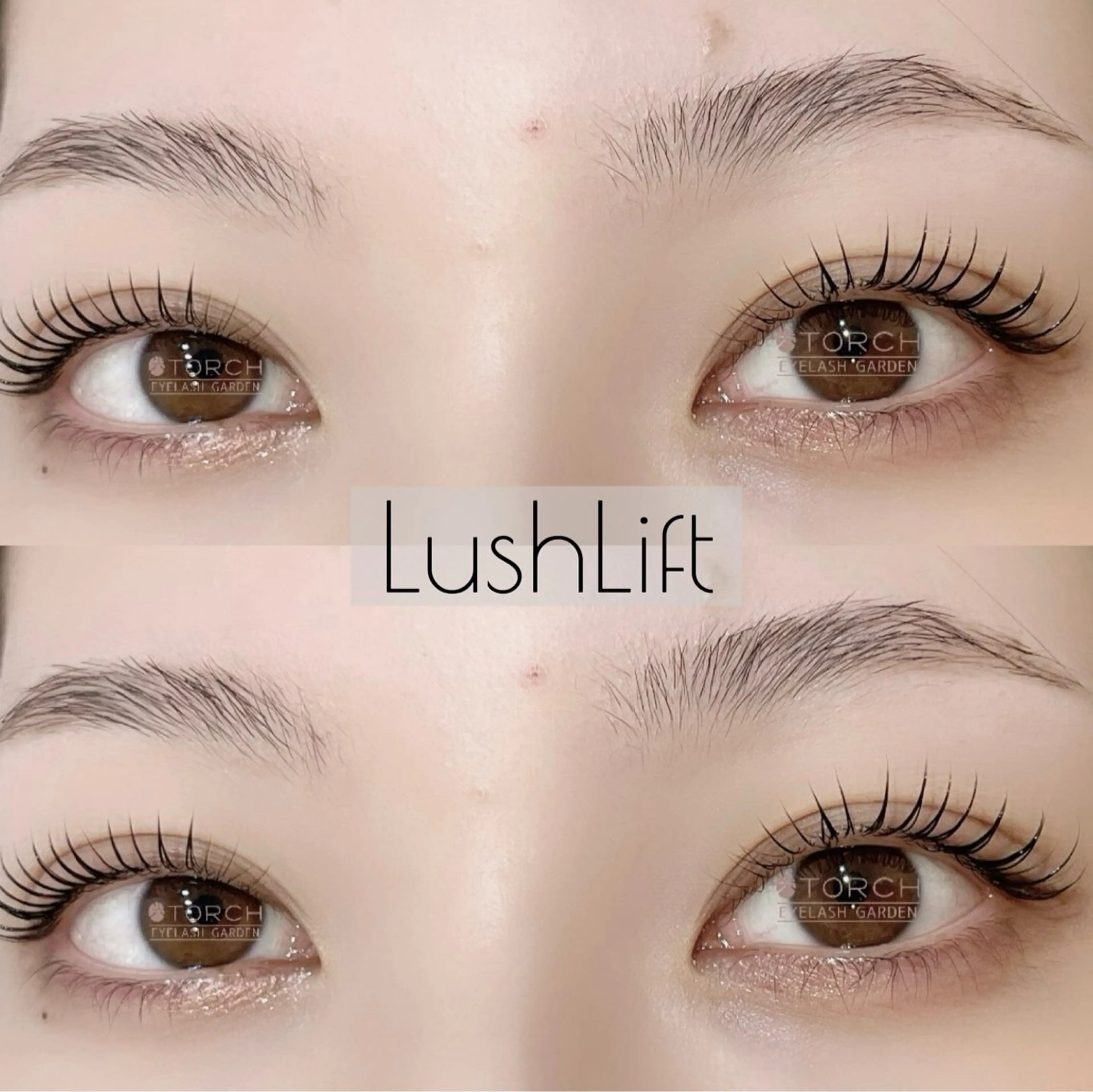 ⚠️特別価格⚠️ ノーマルまつ毛パーマの写真