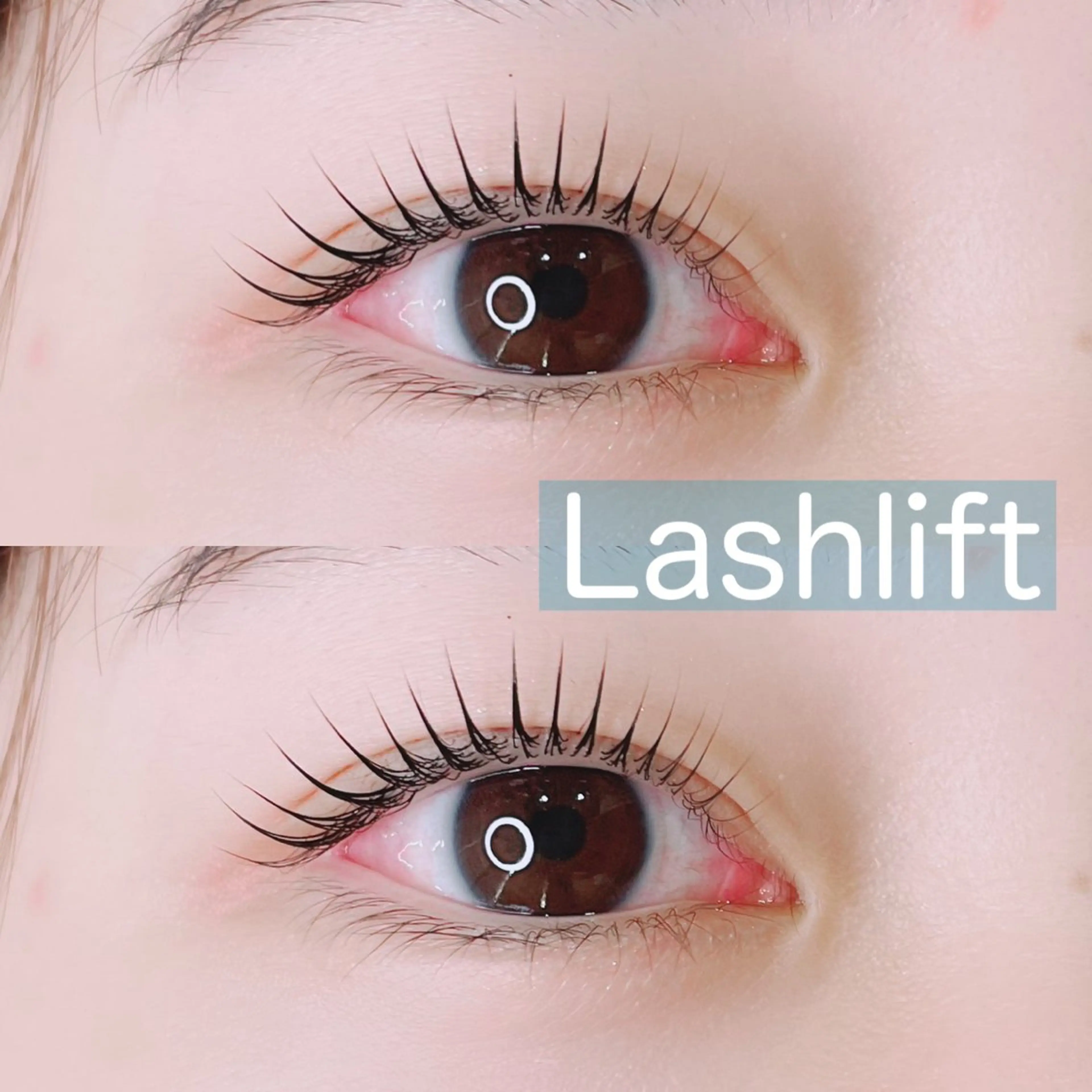 上ラッシュリフト ケラチントリートメント付🌱の写真