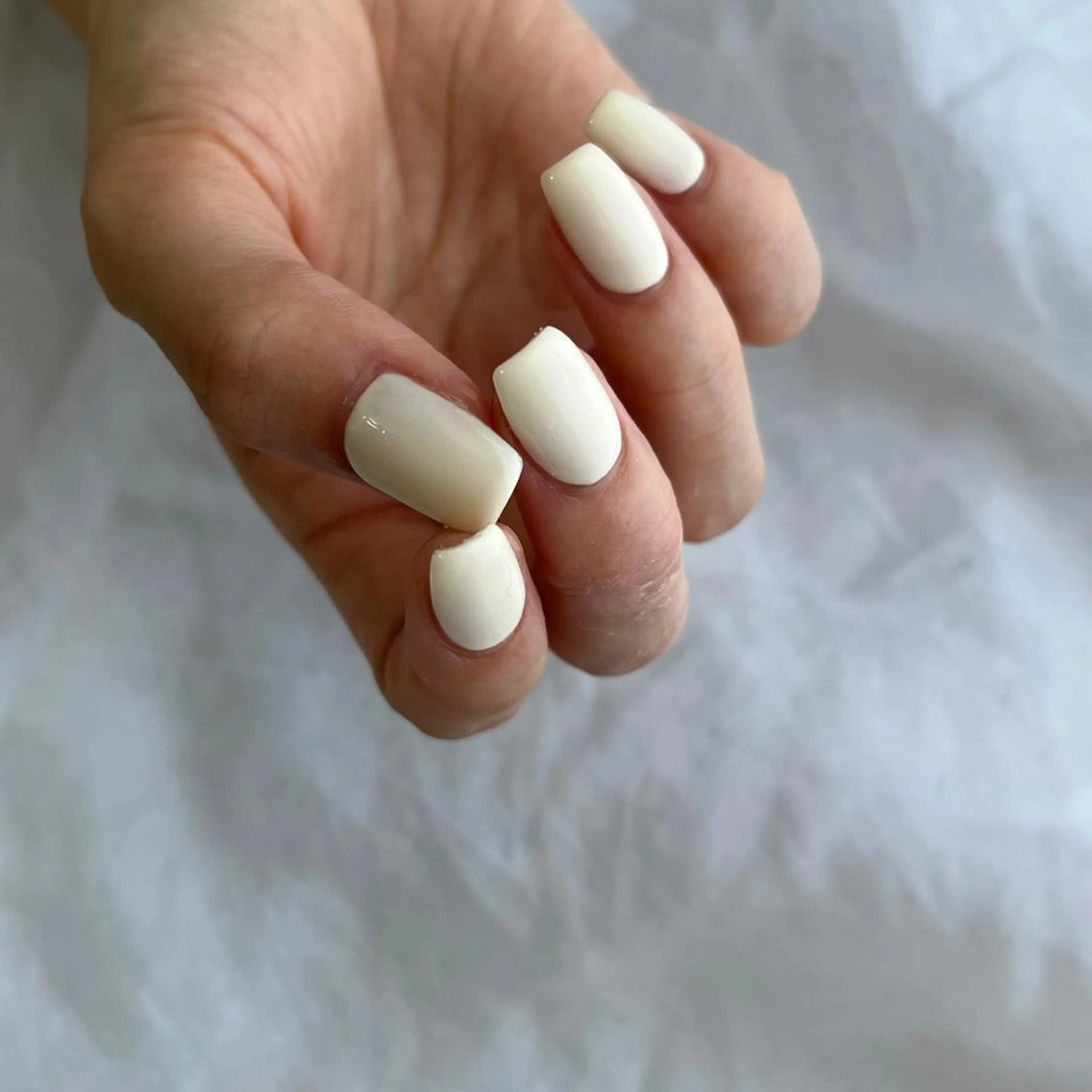 【オフ無し】ワンカラーの写真