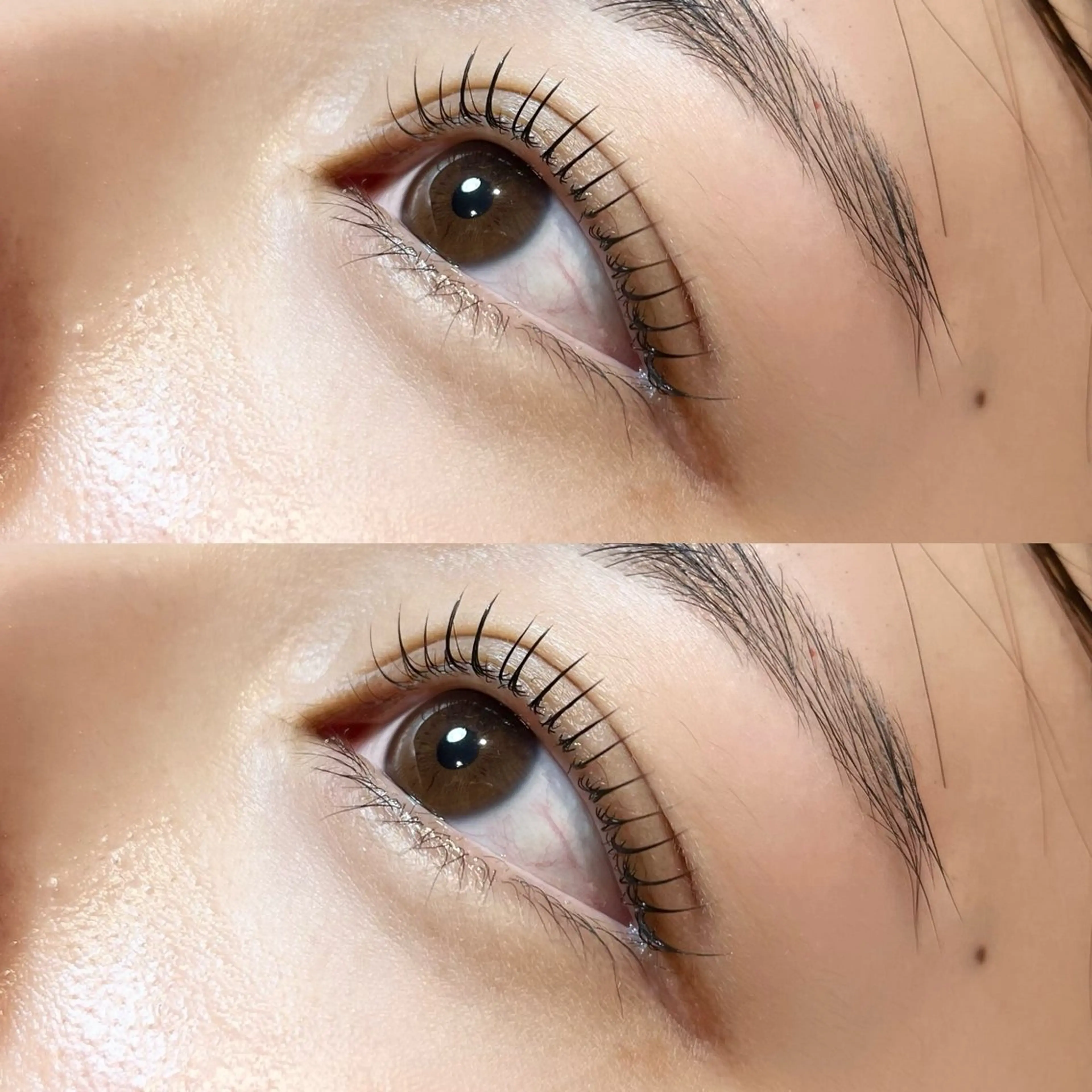 マツエク・マツパ 𝒆𝒊𝒈𝒉𝒕 杏花のマツエク・マツパデザイン