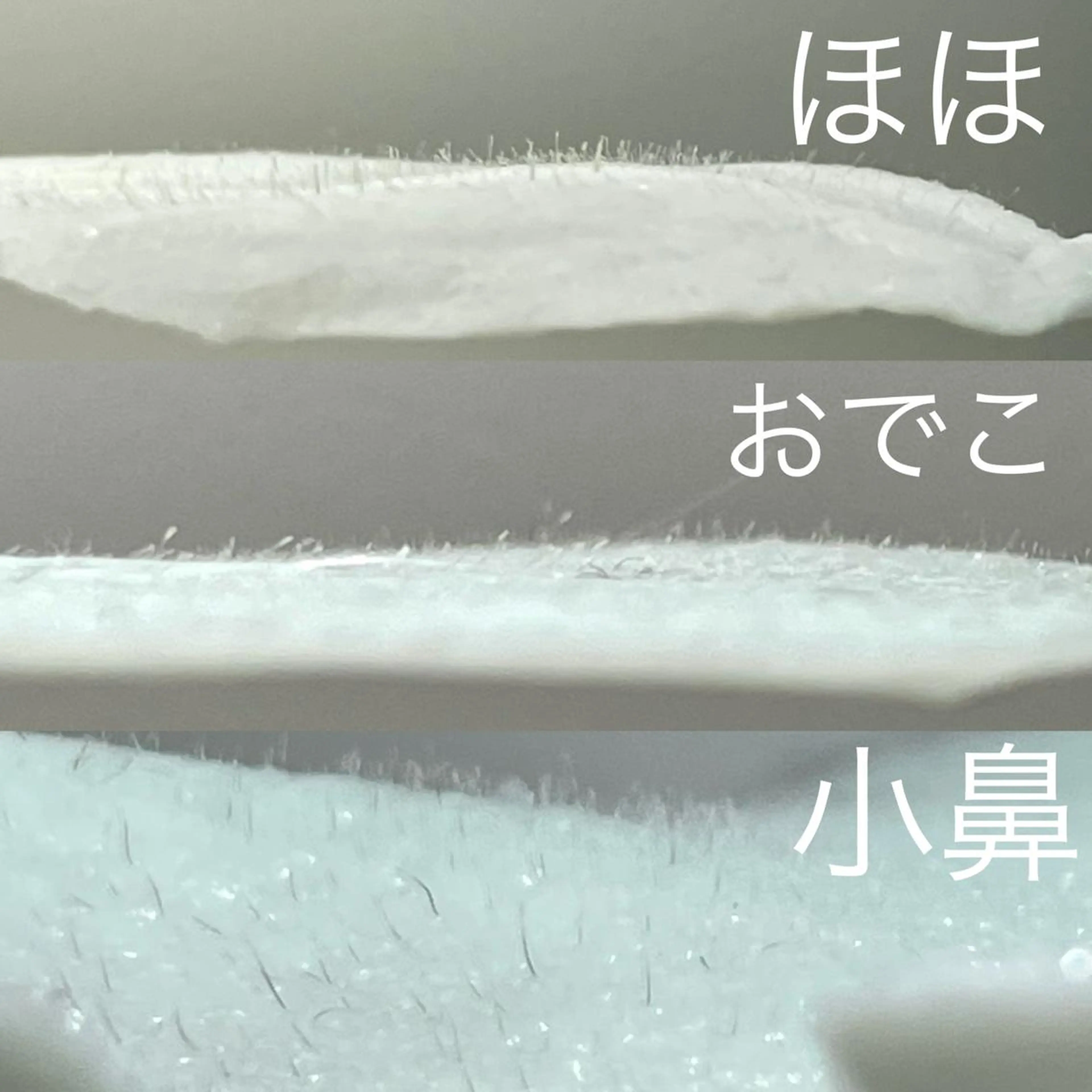 VIO脱毛専門店　kika〜キカ〜所属・【メンズSTART】 VIO専門店kikaのエステ・リラクイメージ