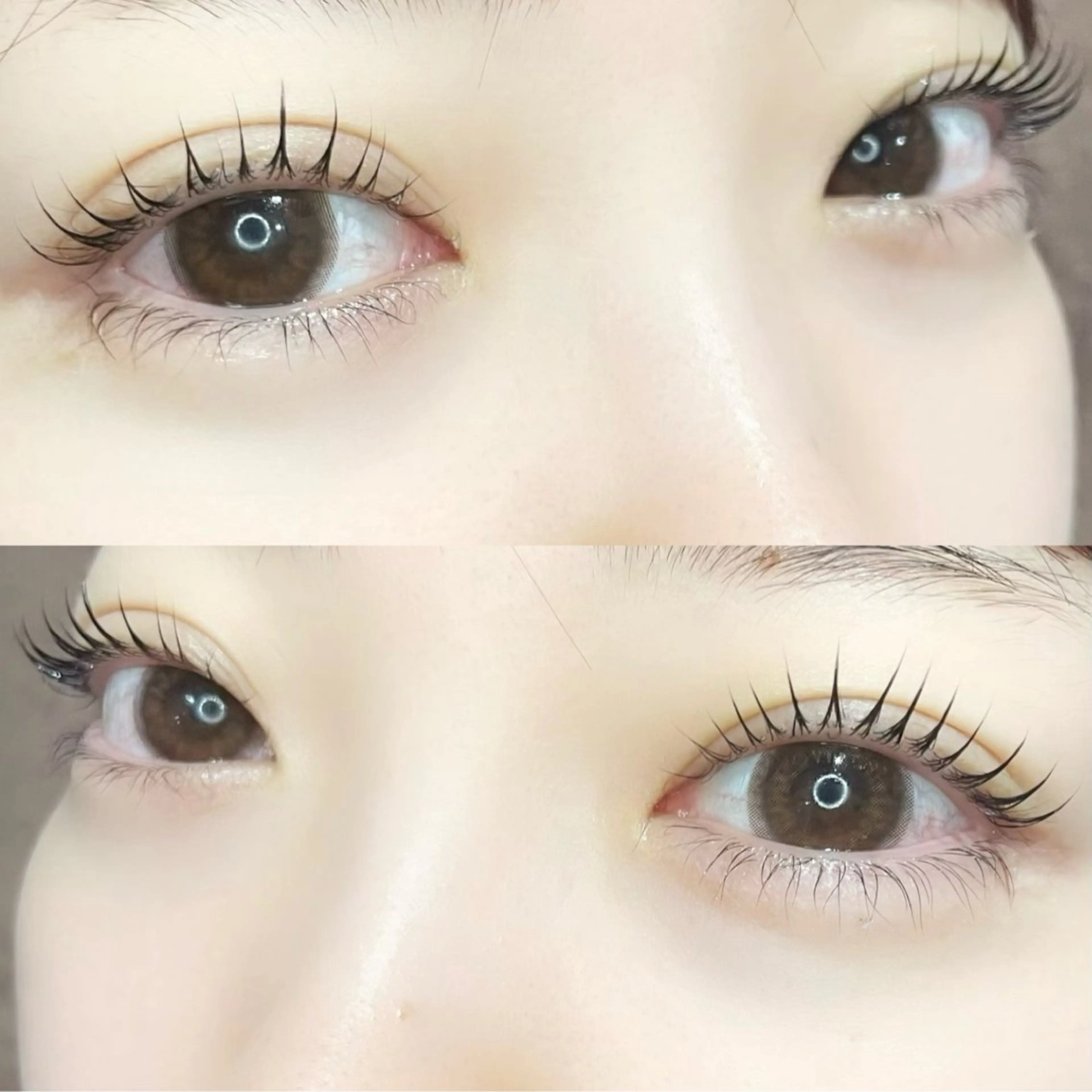 マツエク・マツパ 束感まつ毛 🦖fein. YUINA🦕⋆͛のマツエク・マツパデザイン