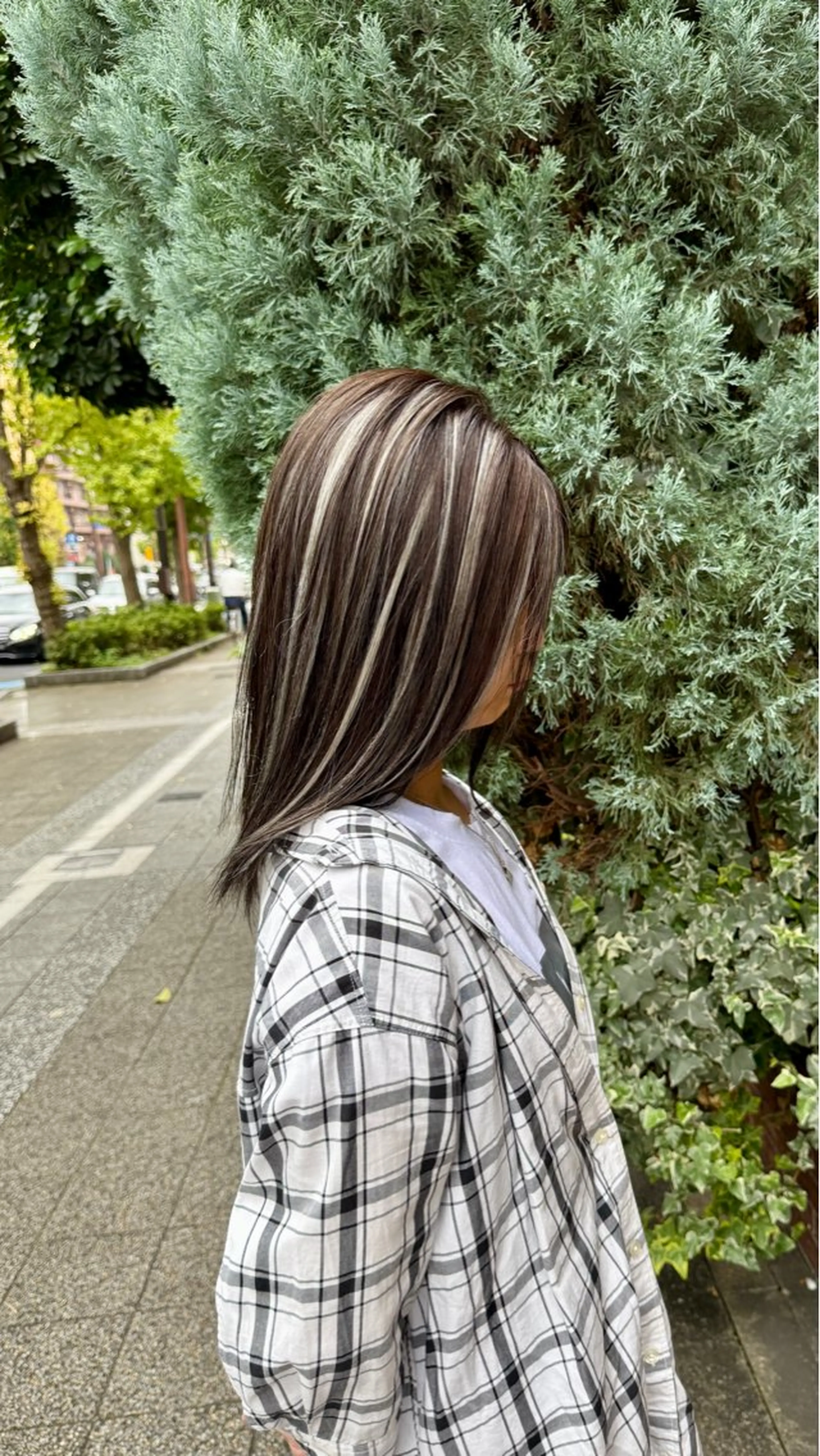 ミディアム ハイライト ヘアカラー トリートメント Cure2所属・🌈白いハイライト 🌈 🐶ノザワ🐶のヘアスタイル