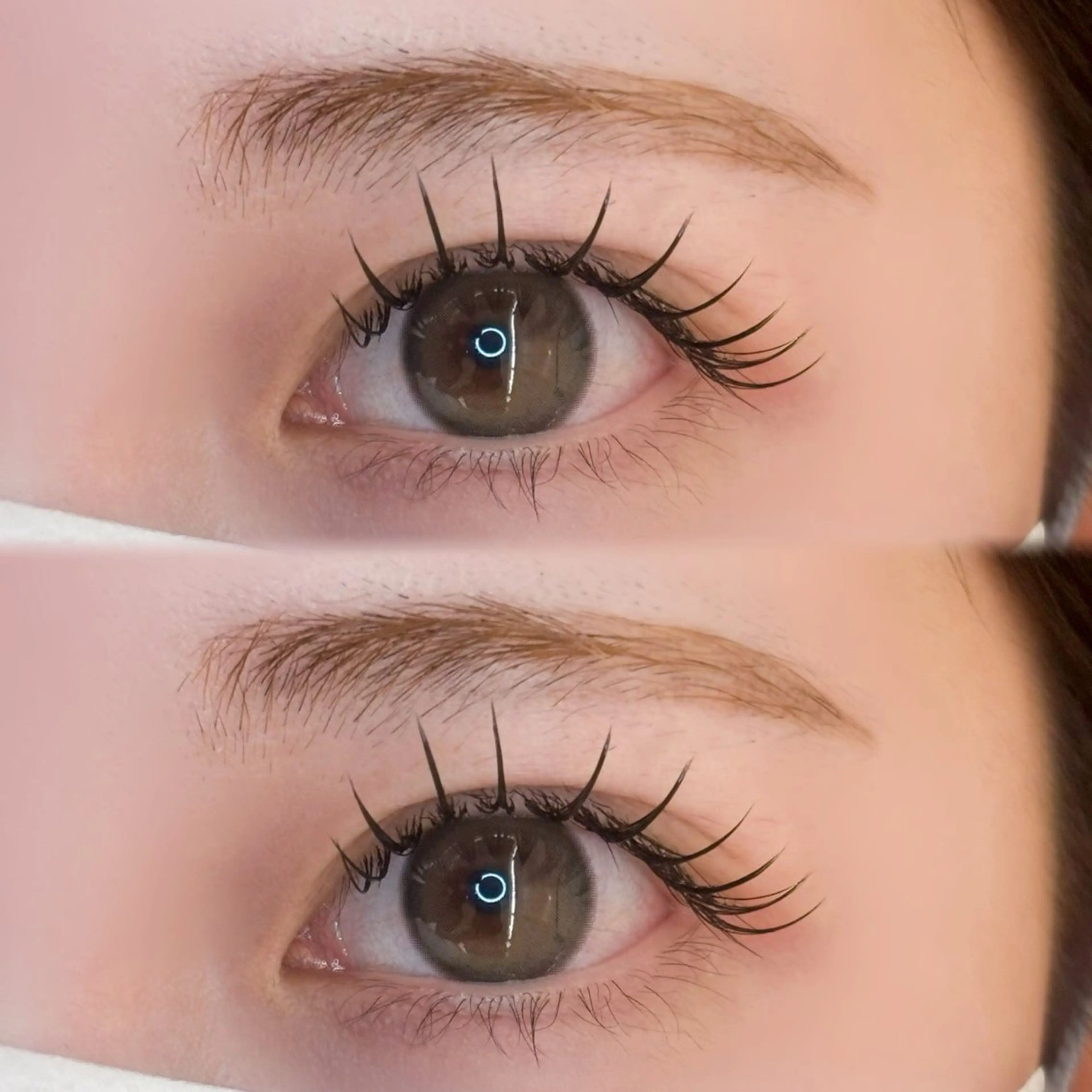 【クリスマス前🎅当日限定】最新フラットラッシュ💫LED100本【+500円でオフ】の写真