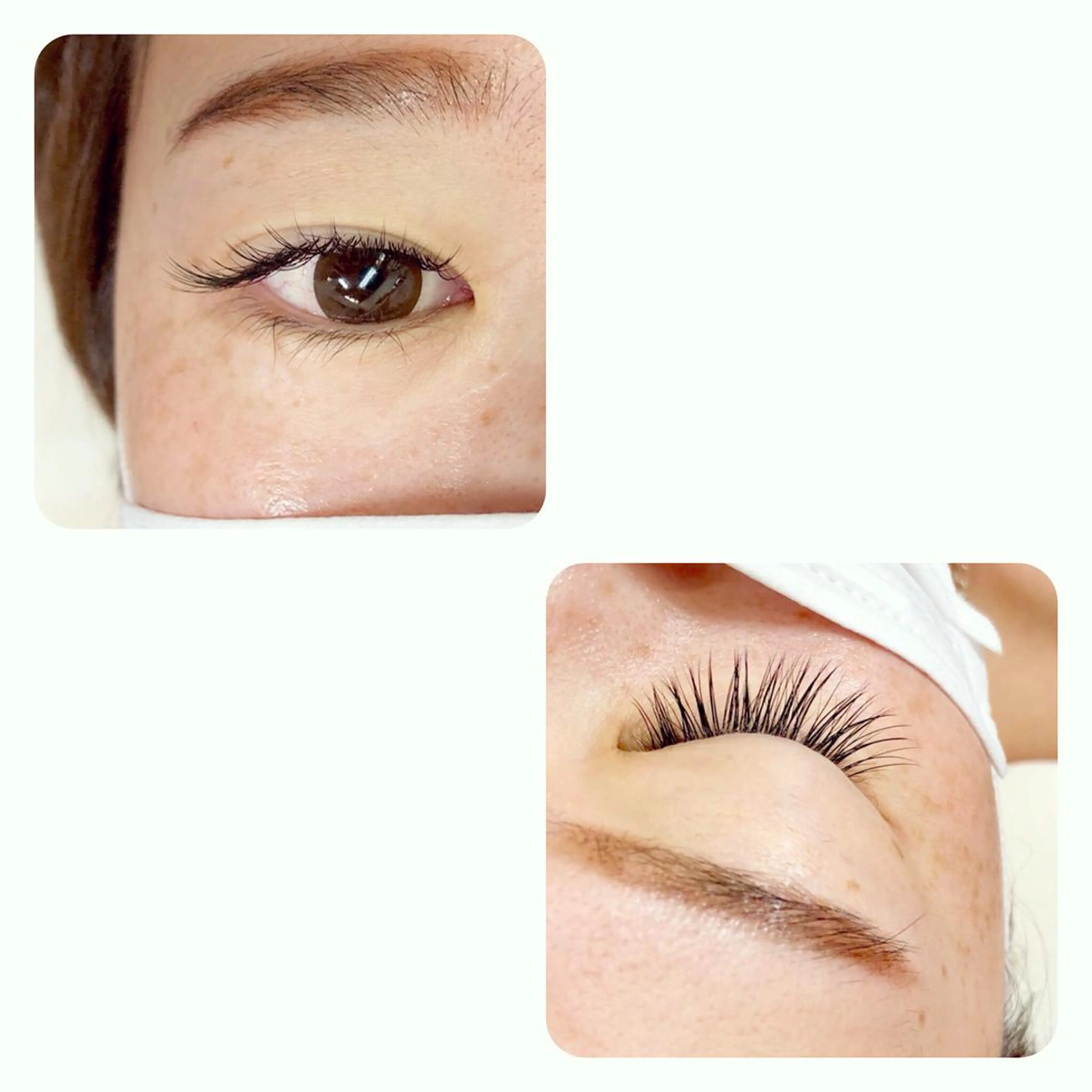 マツエク・マツパ 一重×まつ毛パーマ Total beauty La Fleur所属・ikeda midoriのマツエク・マツパデザイン