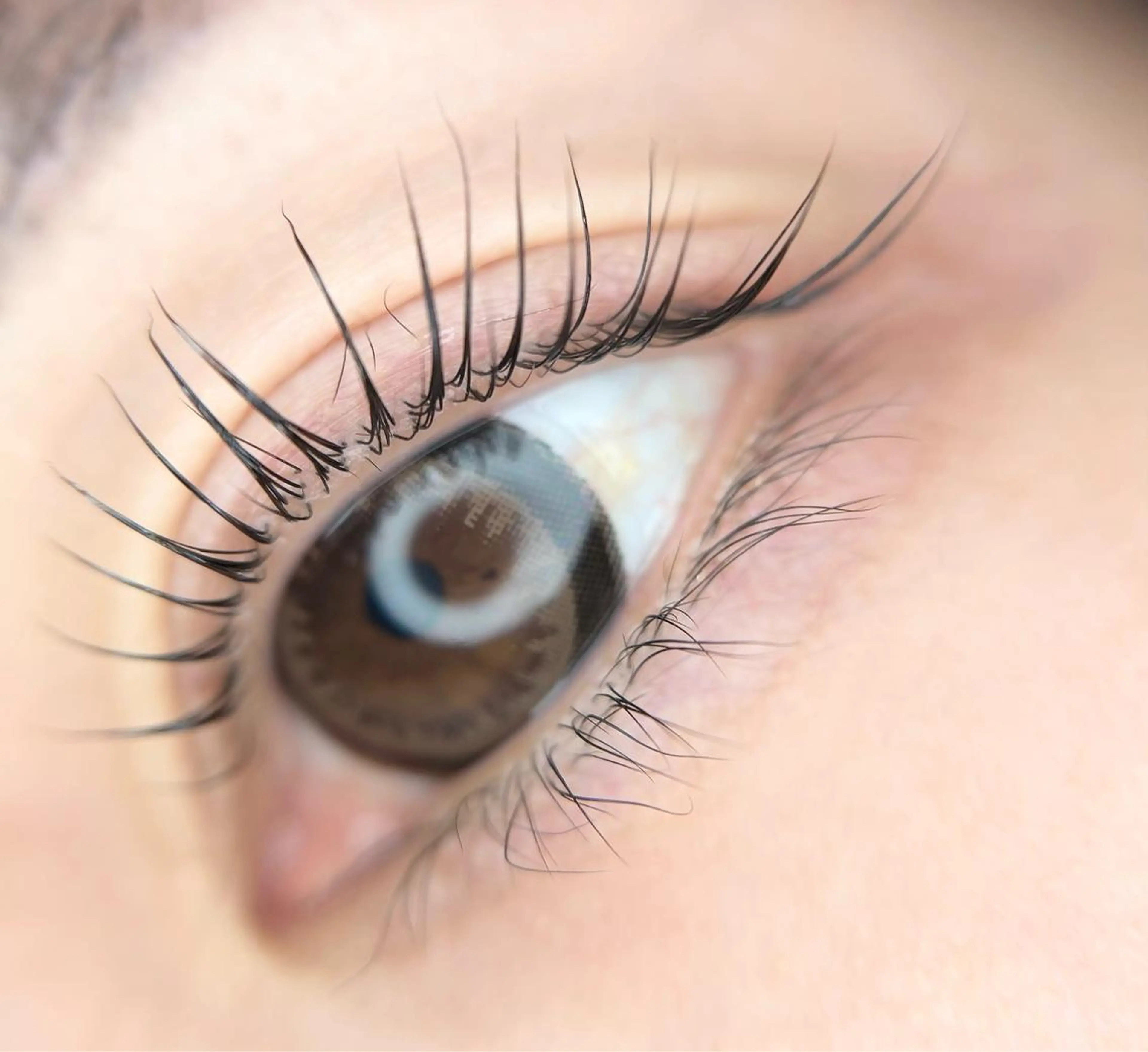 マツエク・マツパ crown KIYOMIのマツエク・マツパデザイン