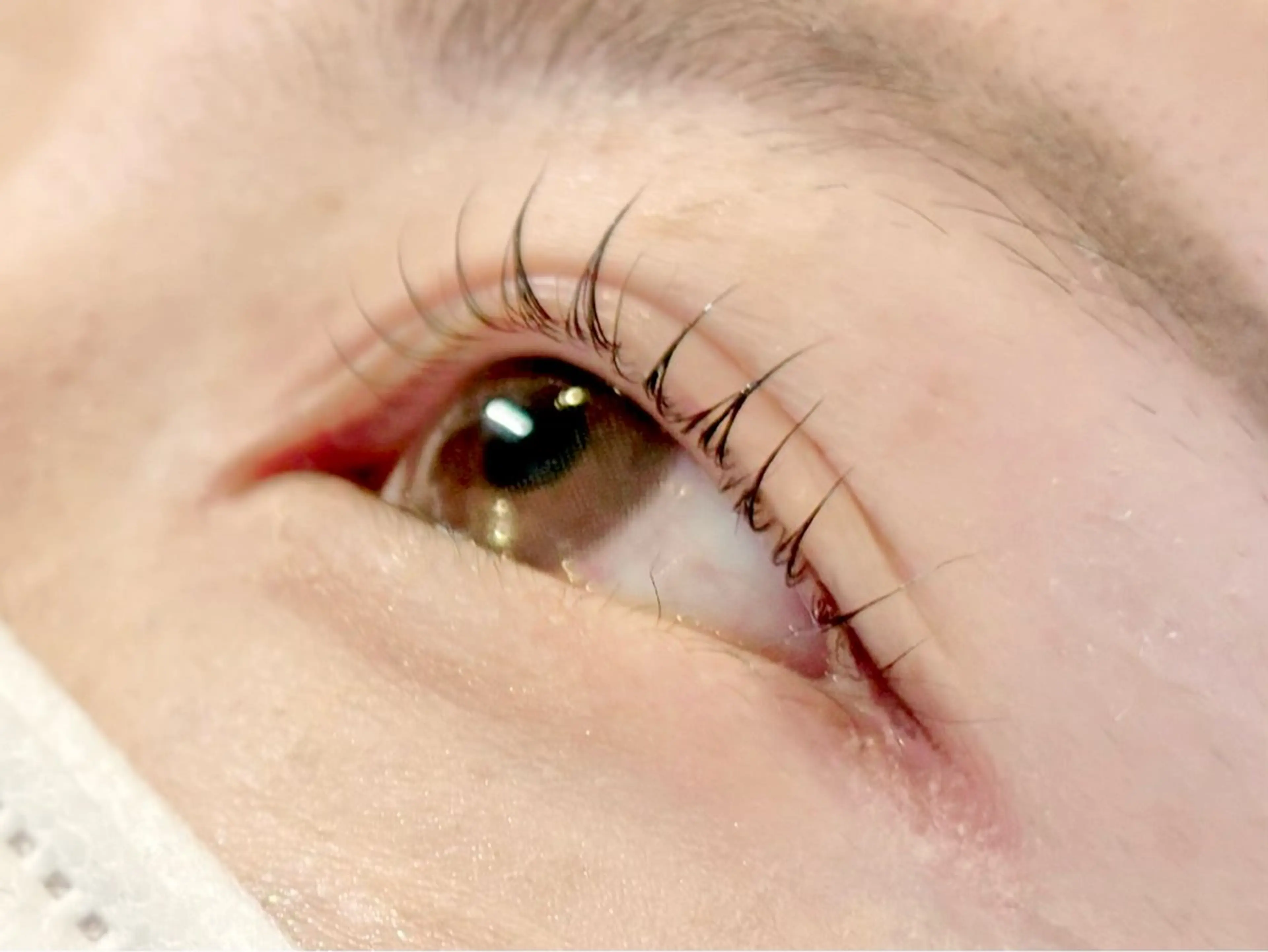 ‎𓊆 minimo限定🌟𓊇次世代まつげパーマ🎀 束感コーティング付💖パリジェンヌ、韓国式変更+¥1000の写真