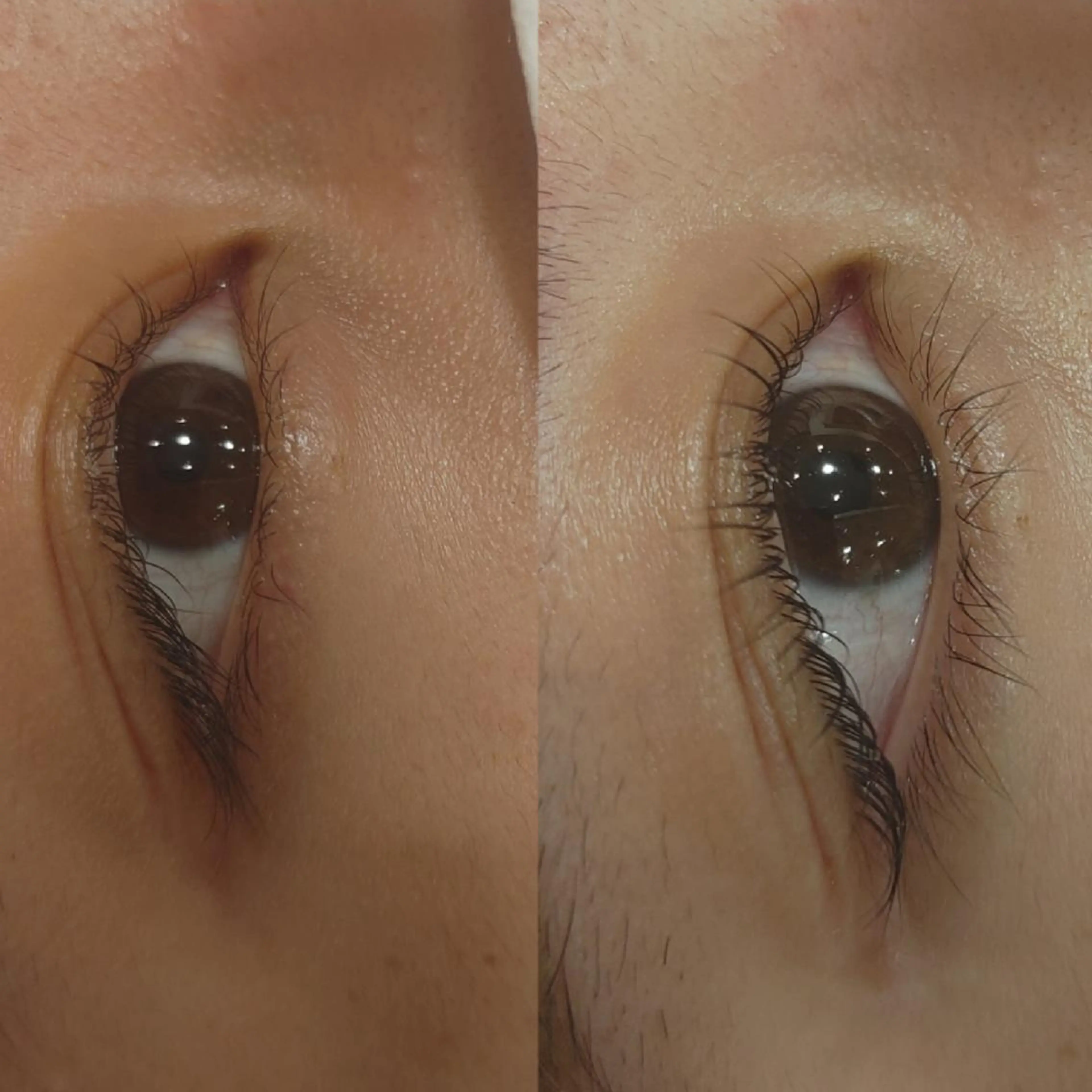 マツエク・マツパ マツパ ブランシェ勝川南口店 石原 あゆみのマツエク・マツパデザイン