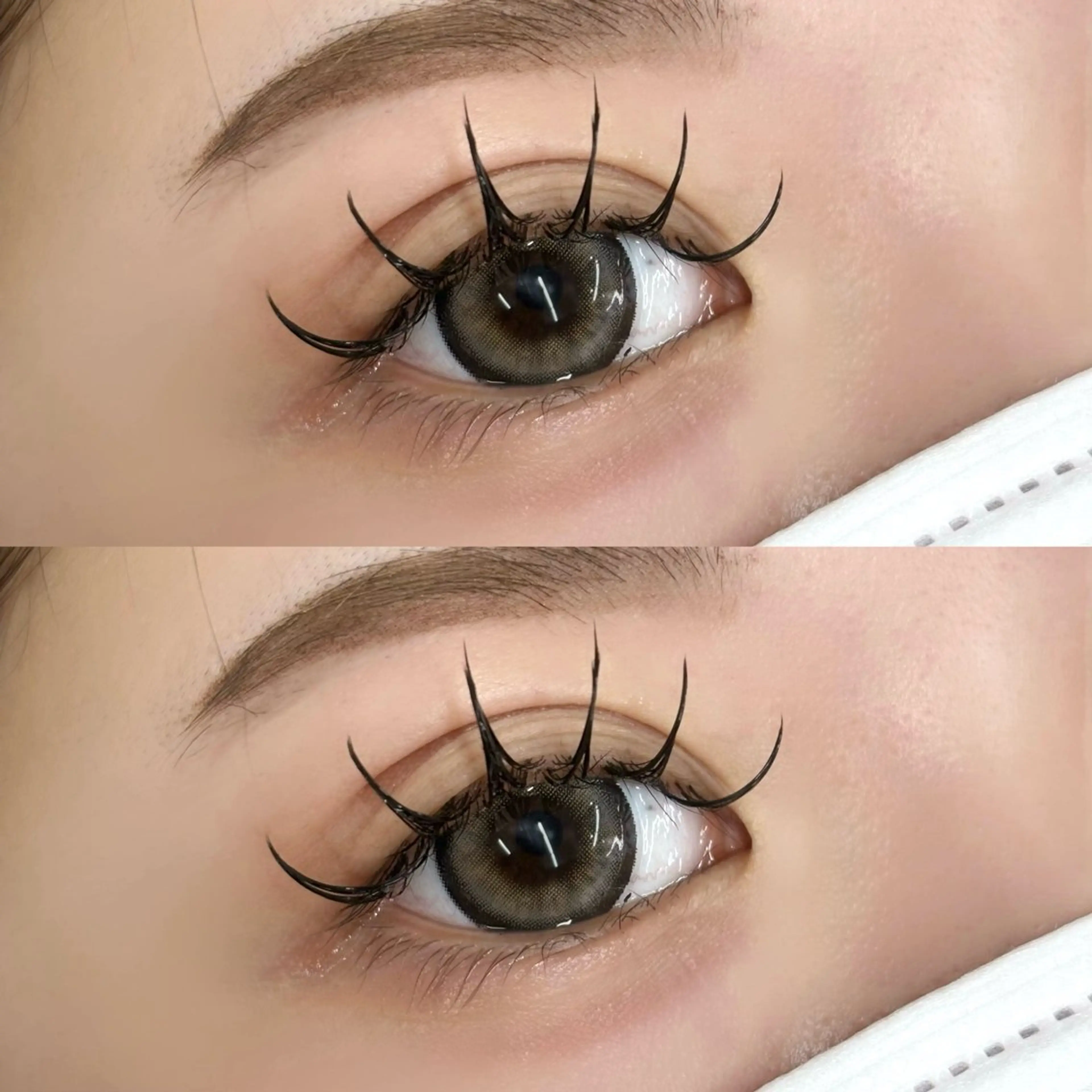 バインドロック100束　wフラットの写真