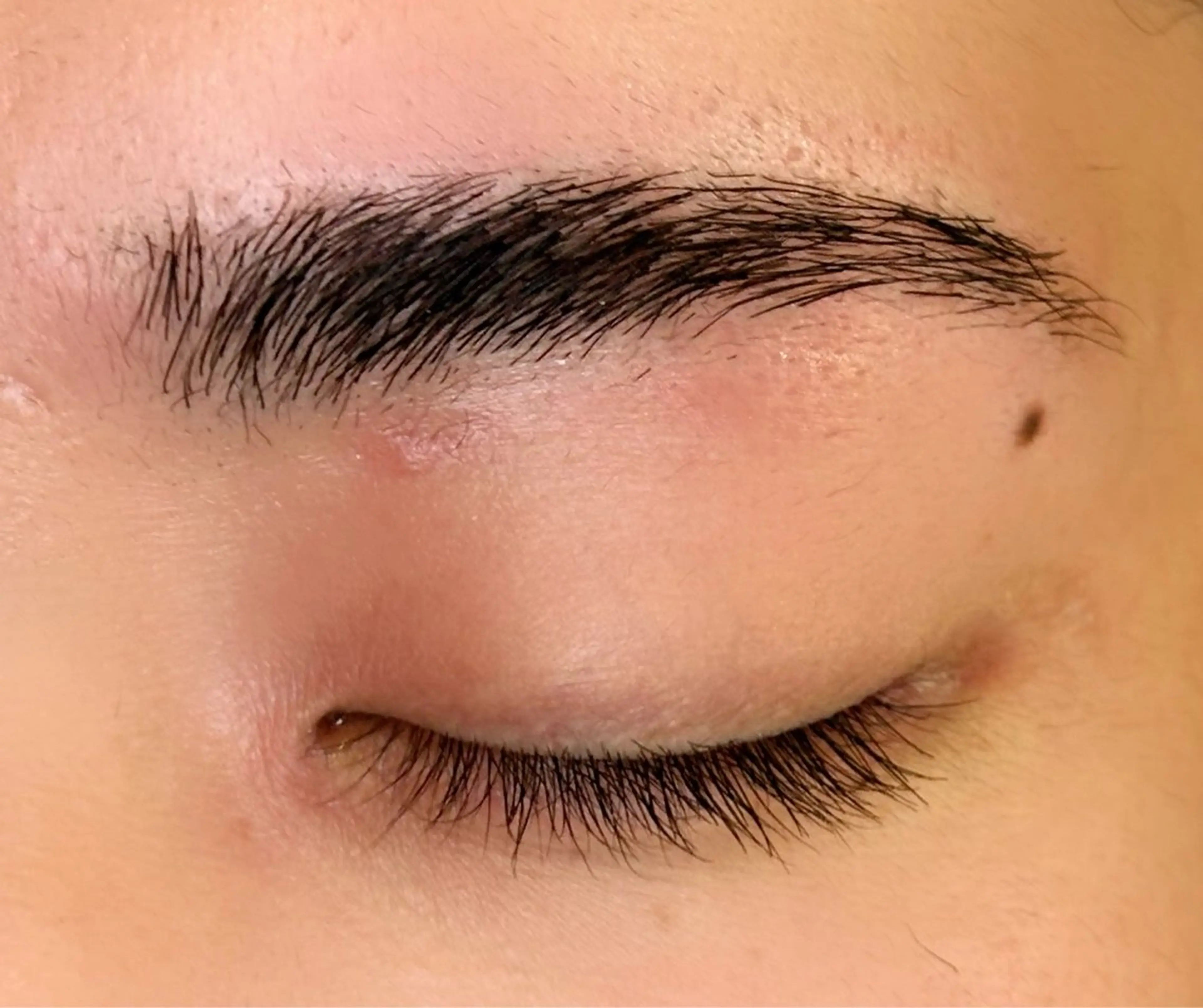 先着2名限定！！【ブロウリフト&眉ワックス脱毛】の写真