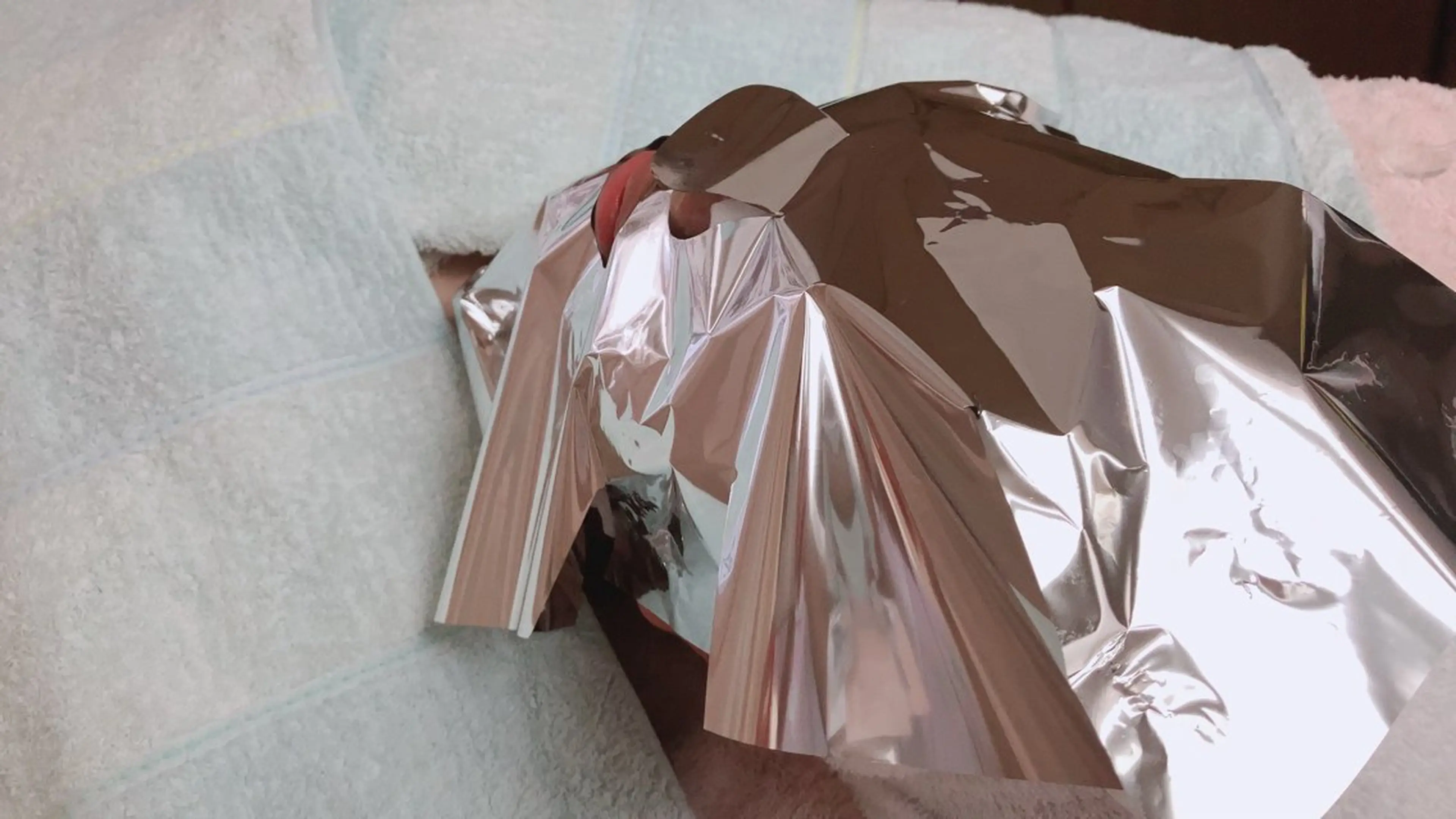 12行程❣️まずはお試しアドバンスコース❣️の写真