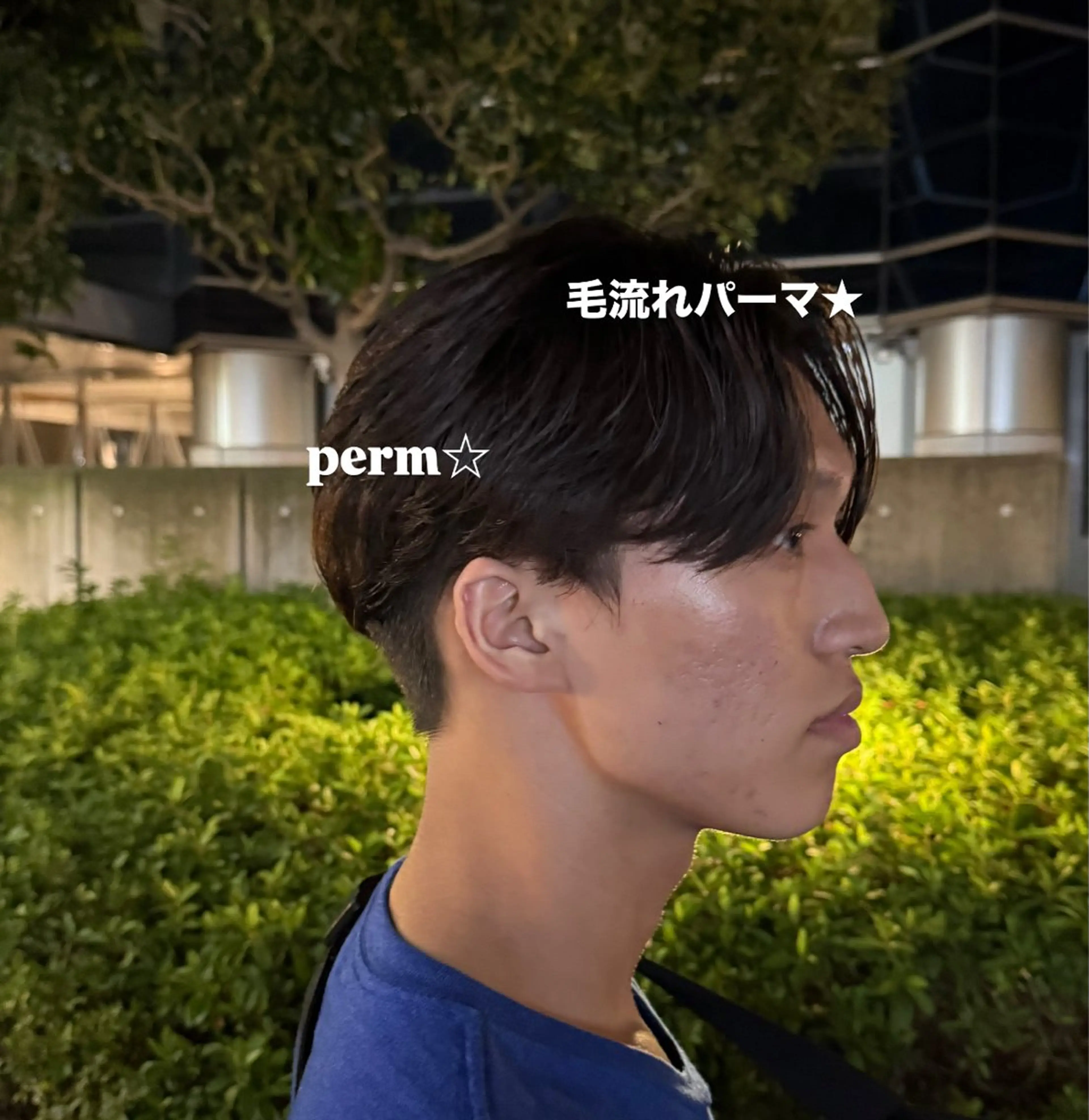 パーマ カット パーマ メンズパーマ✨️/ 縮毛カラー🫧あきはのヘアスタイル